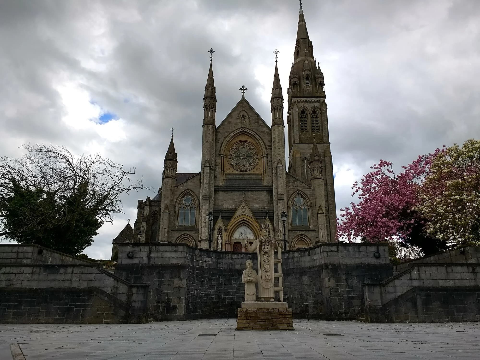 Vets in Monaghan