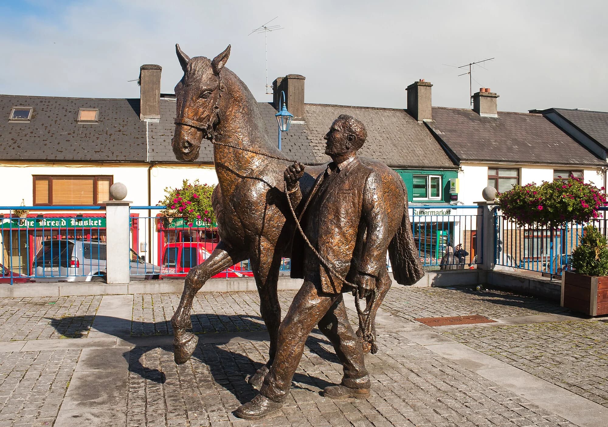 Vets in Ballinasloe