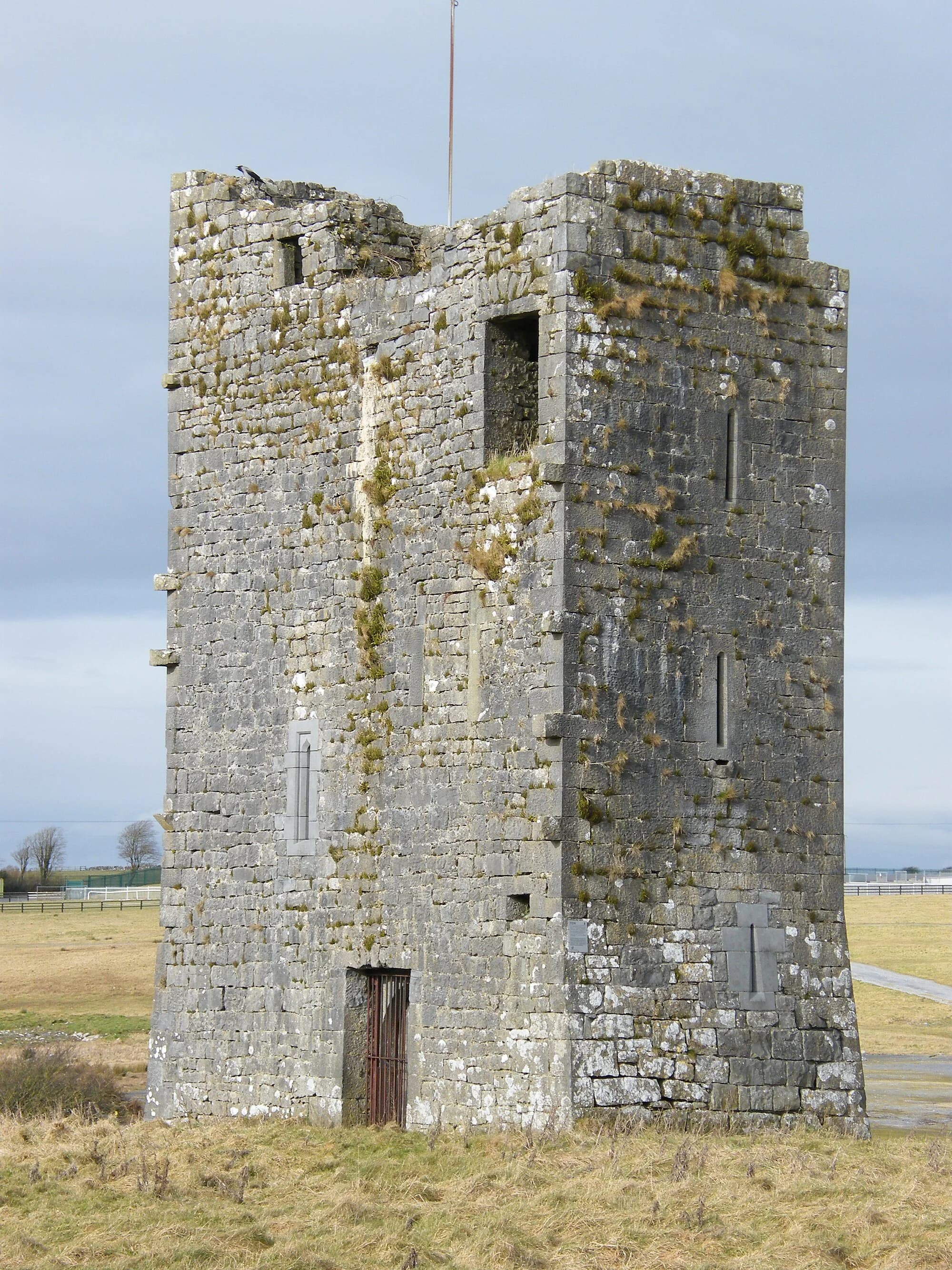Vets in Ballybrit