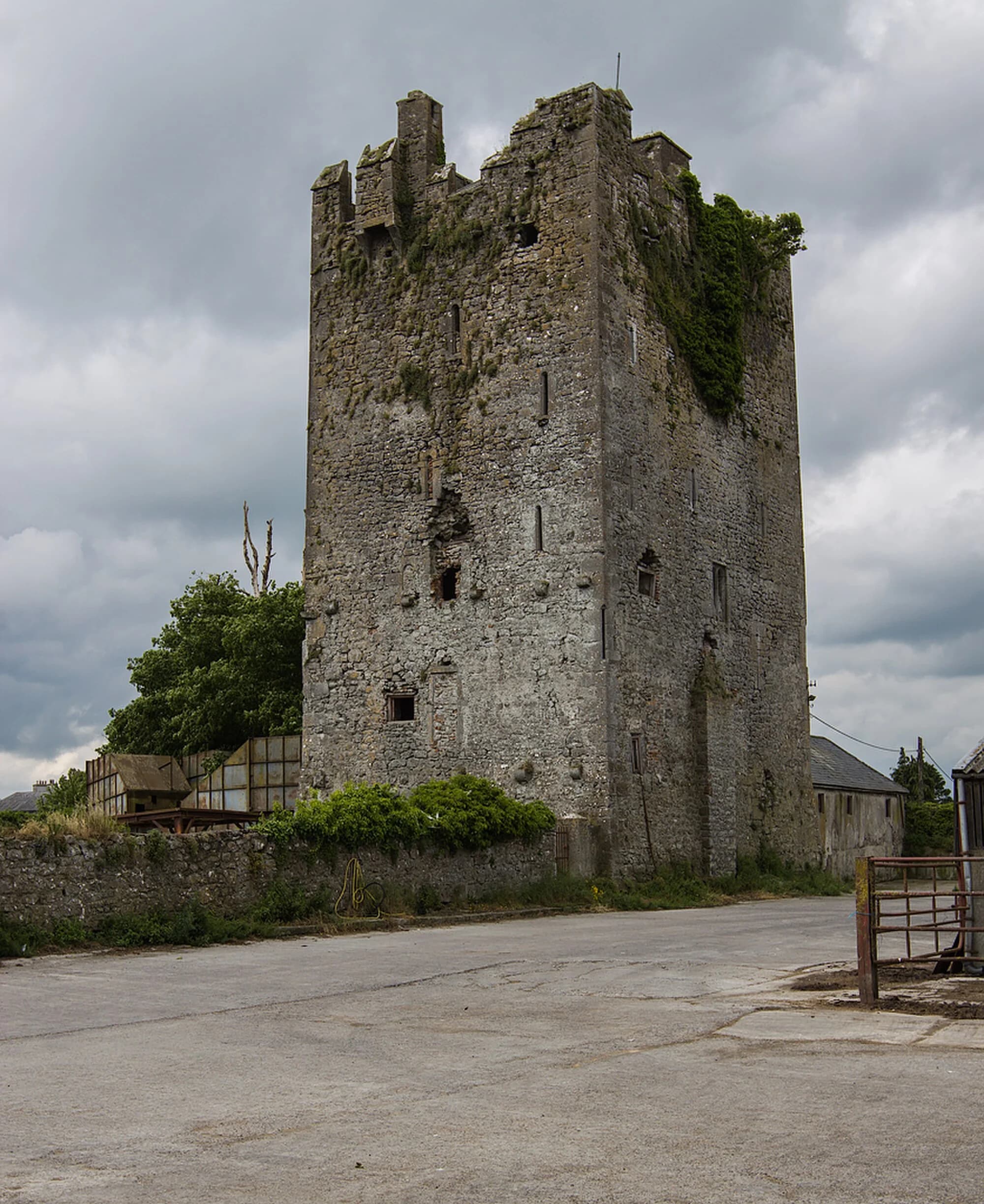 Vets in Ballyragget