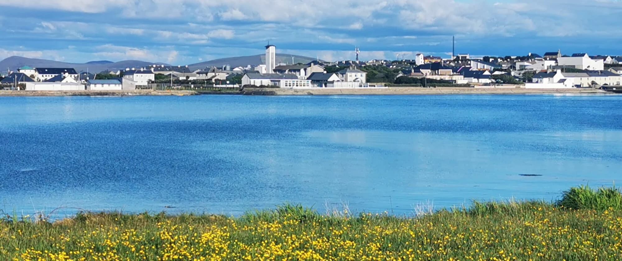 Vets in Belmullet