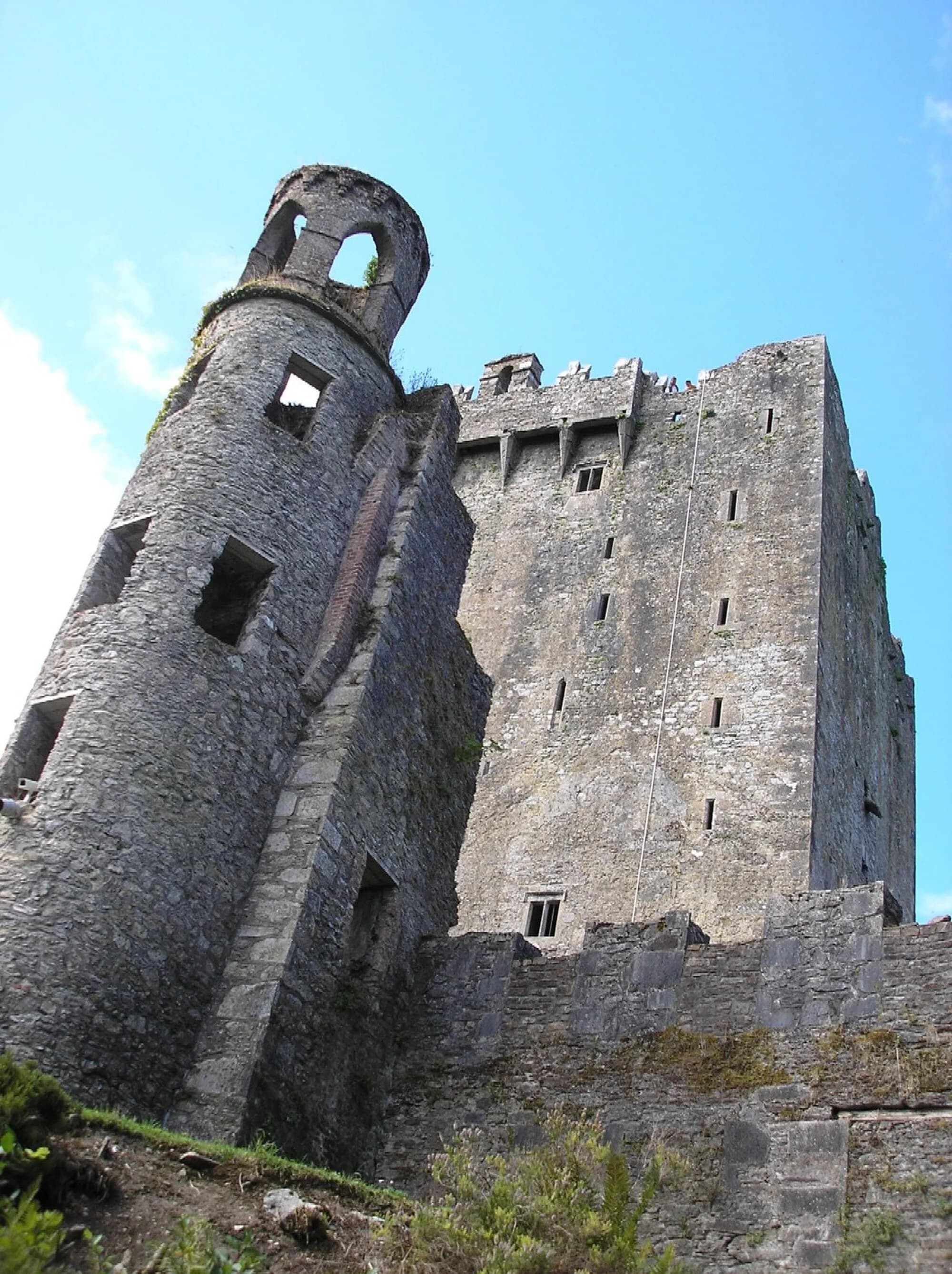 Vets in Blarney