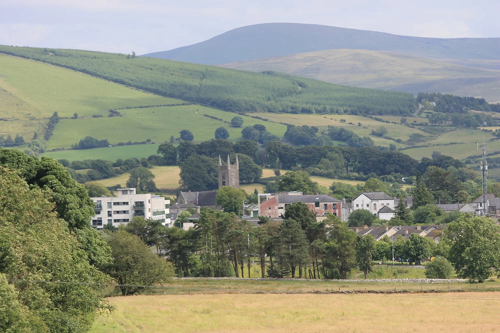Vets in Blessington