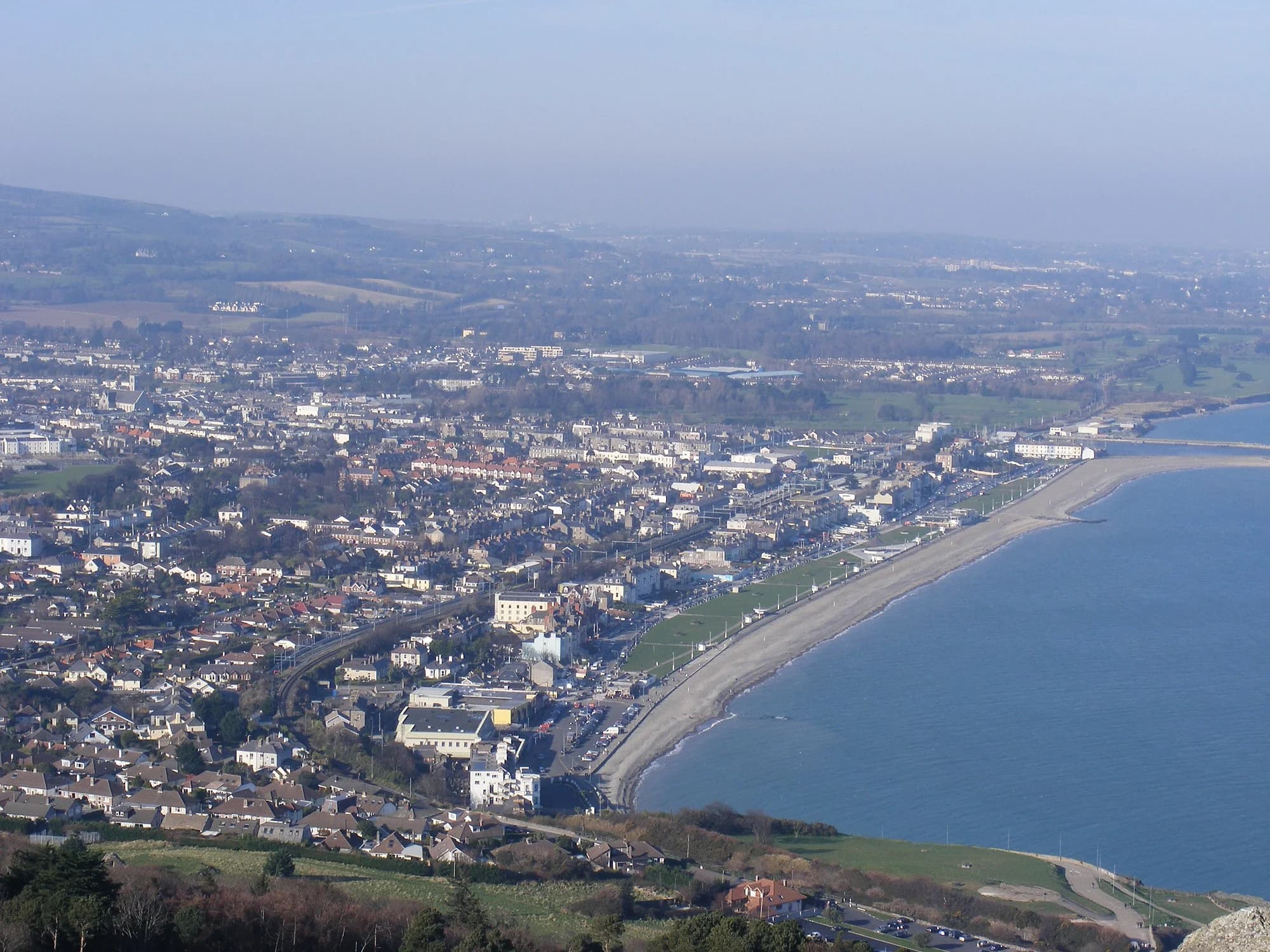 Vets in Bray