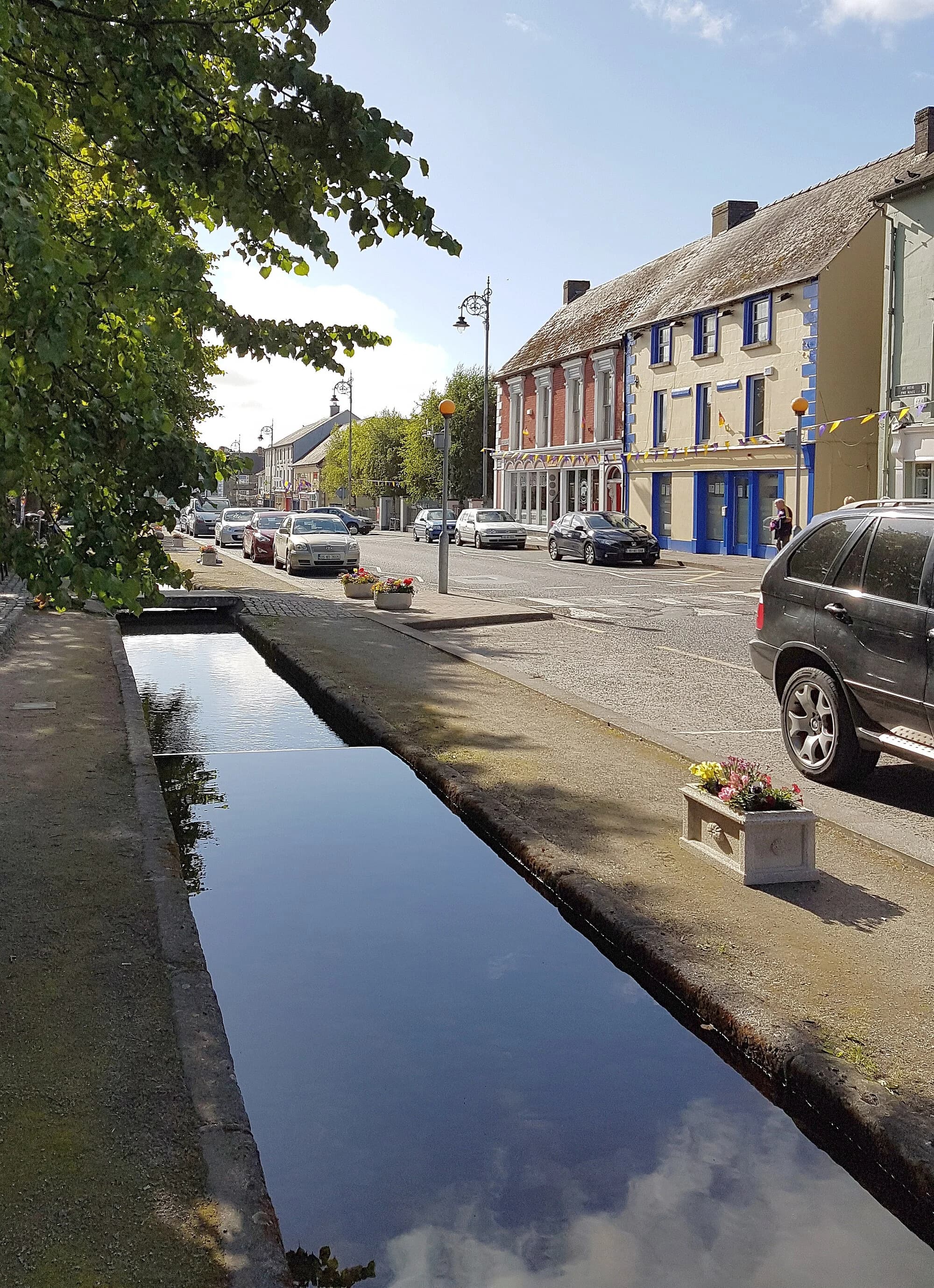 Vets in Bunclody