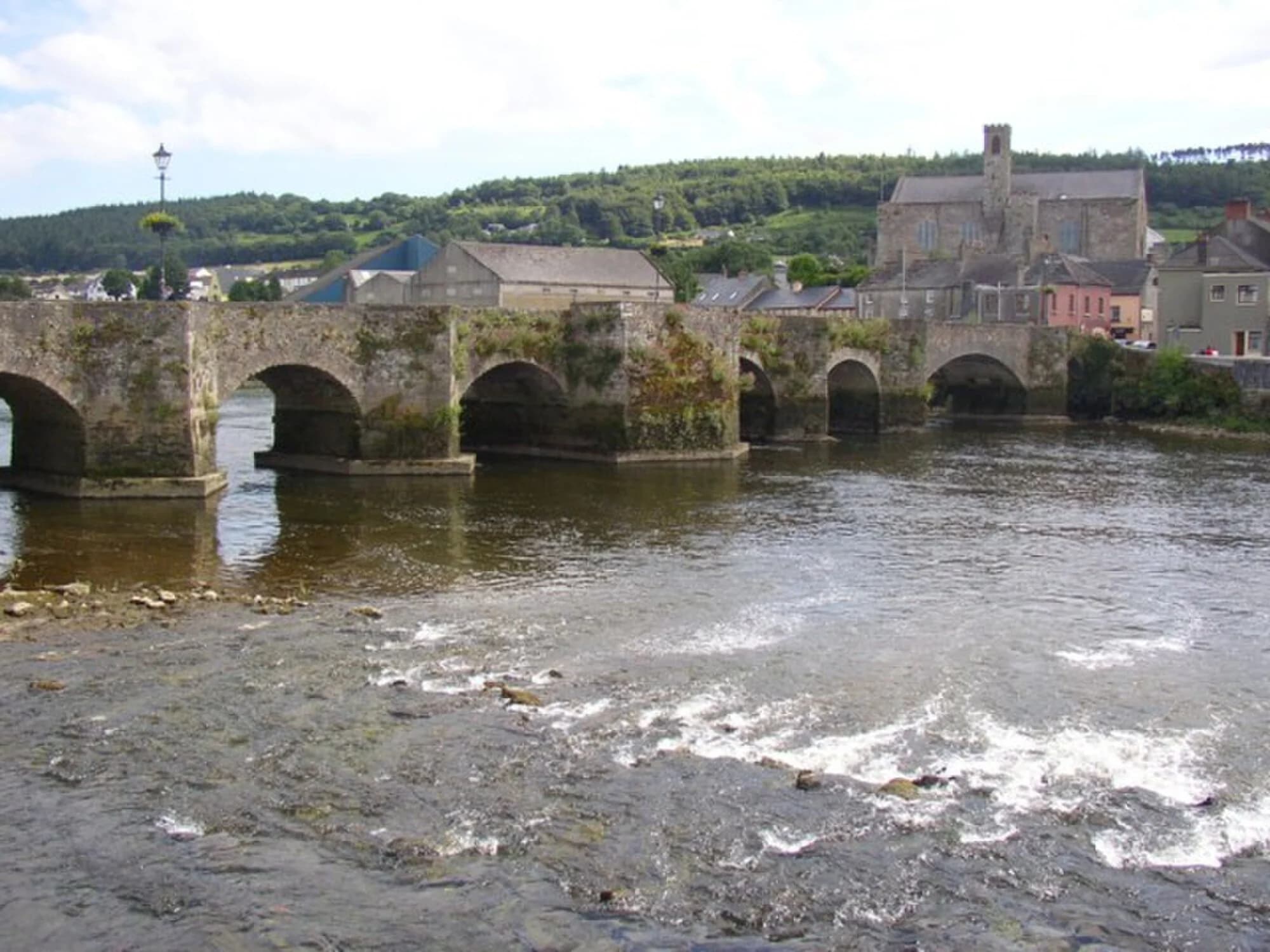 Vets in Carrick-on-Suir