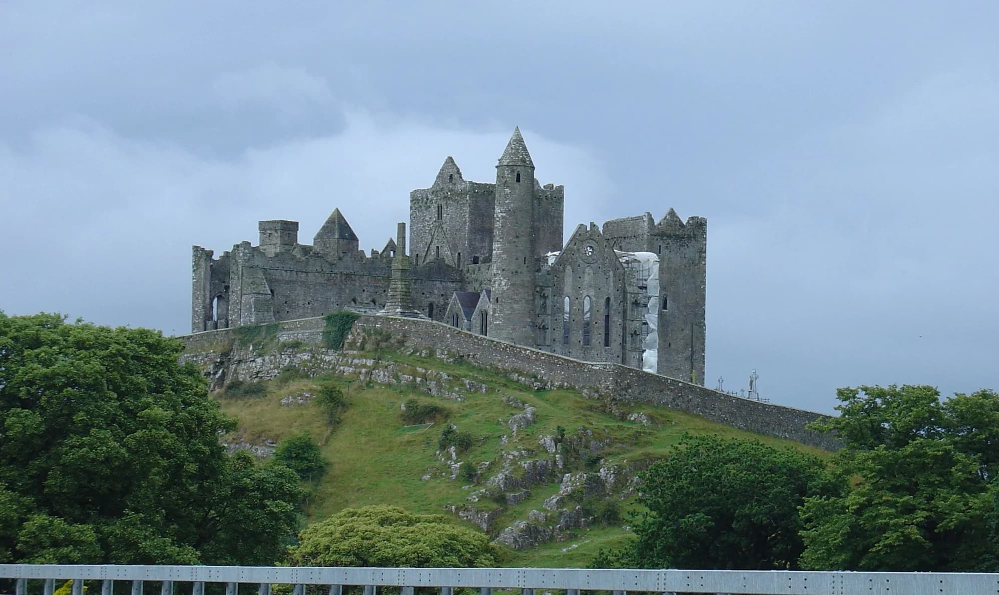 Vets in Cashel