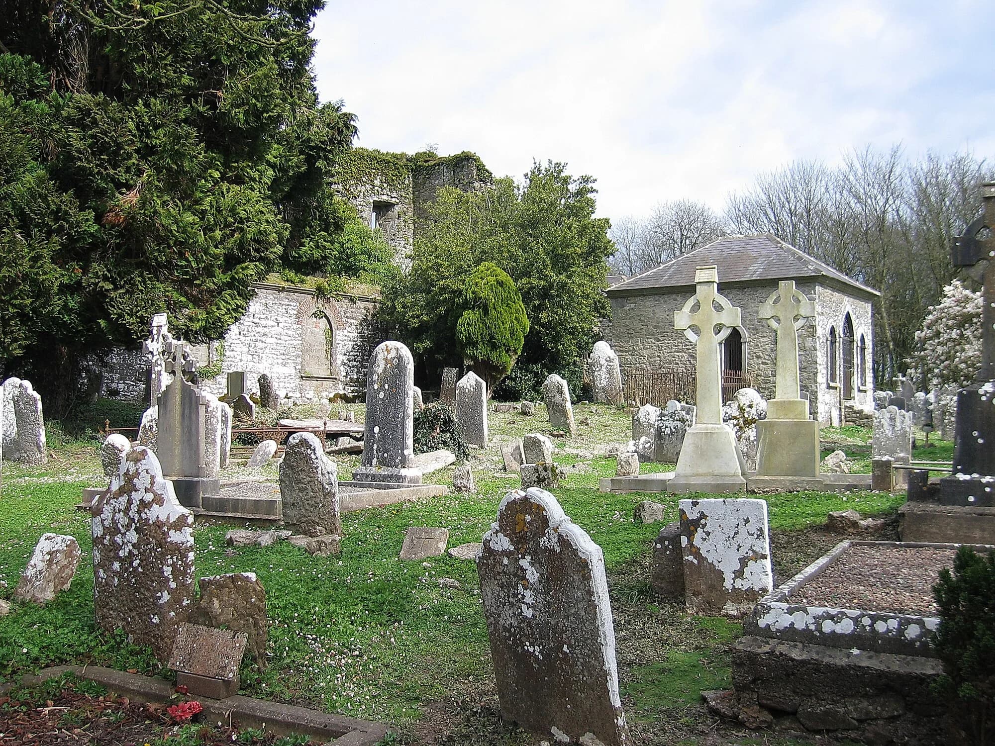 Vets in Castlelyons