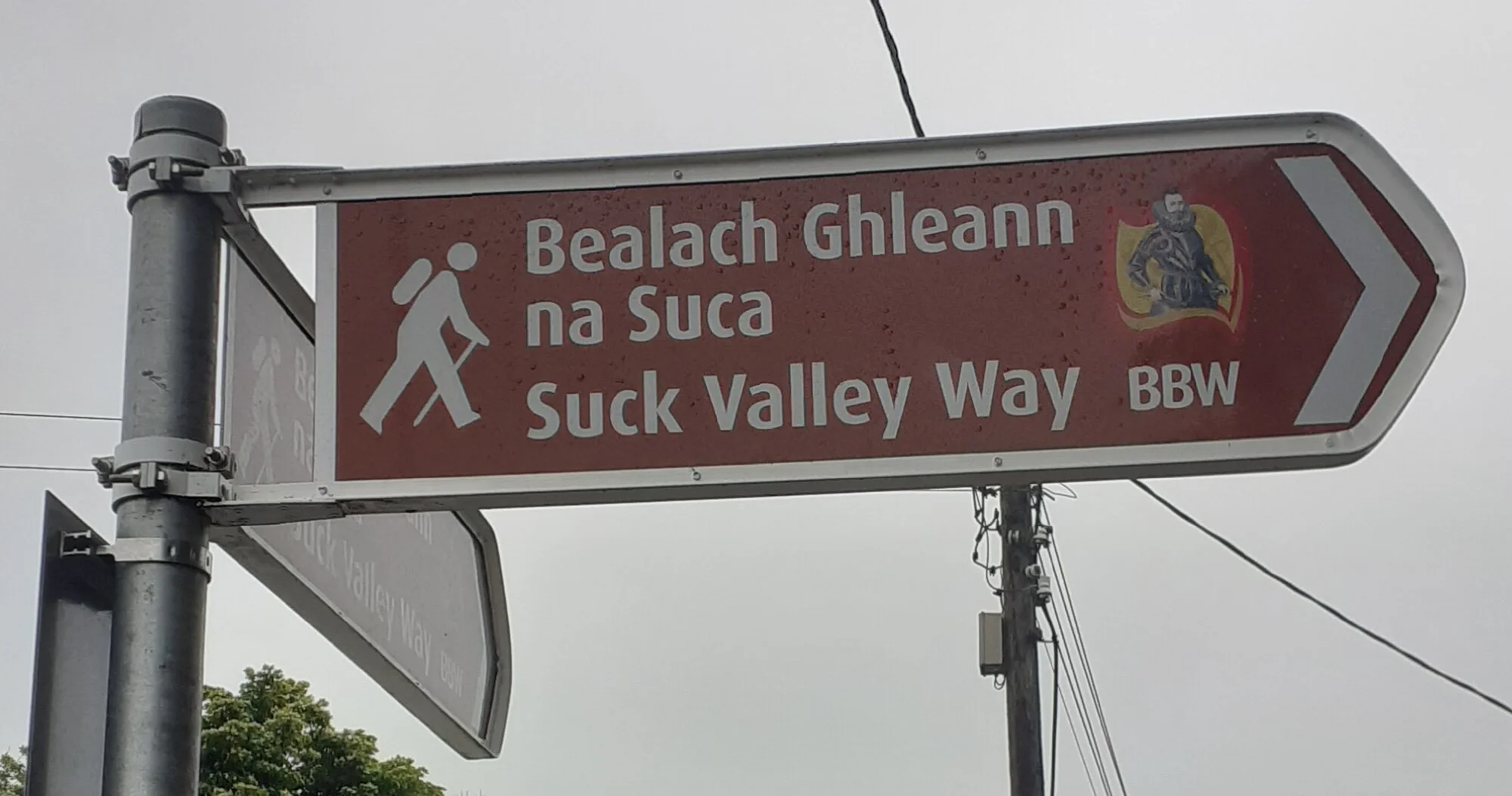 Vets in Castlerea
