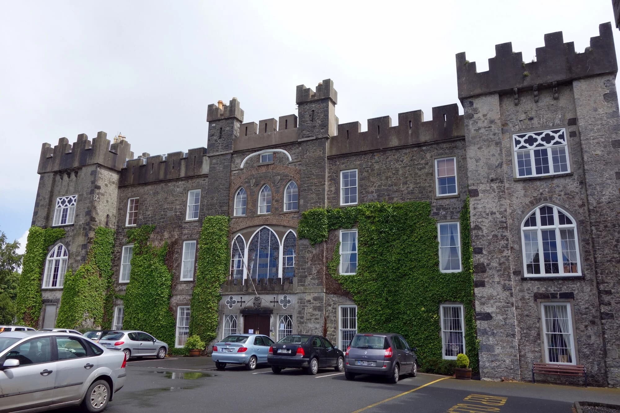 Vets in Clane