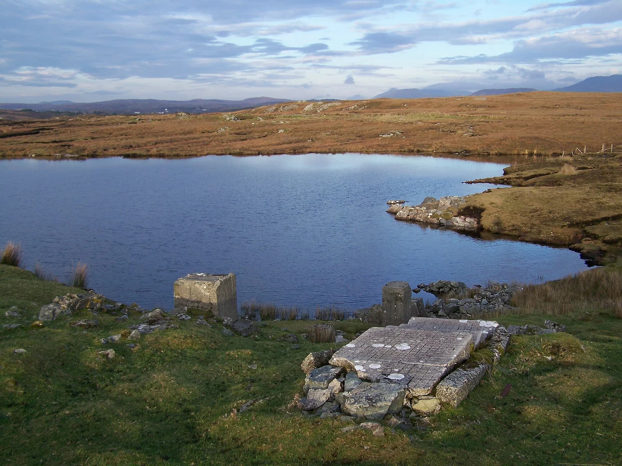 Vets in Clifden