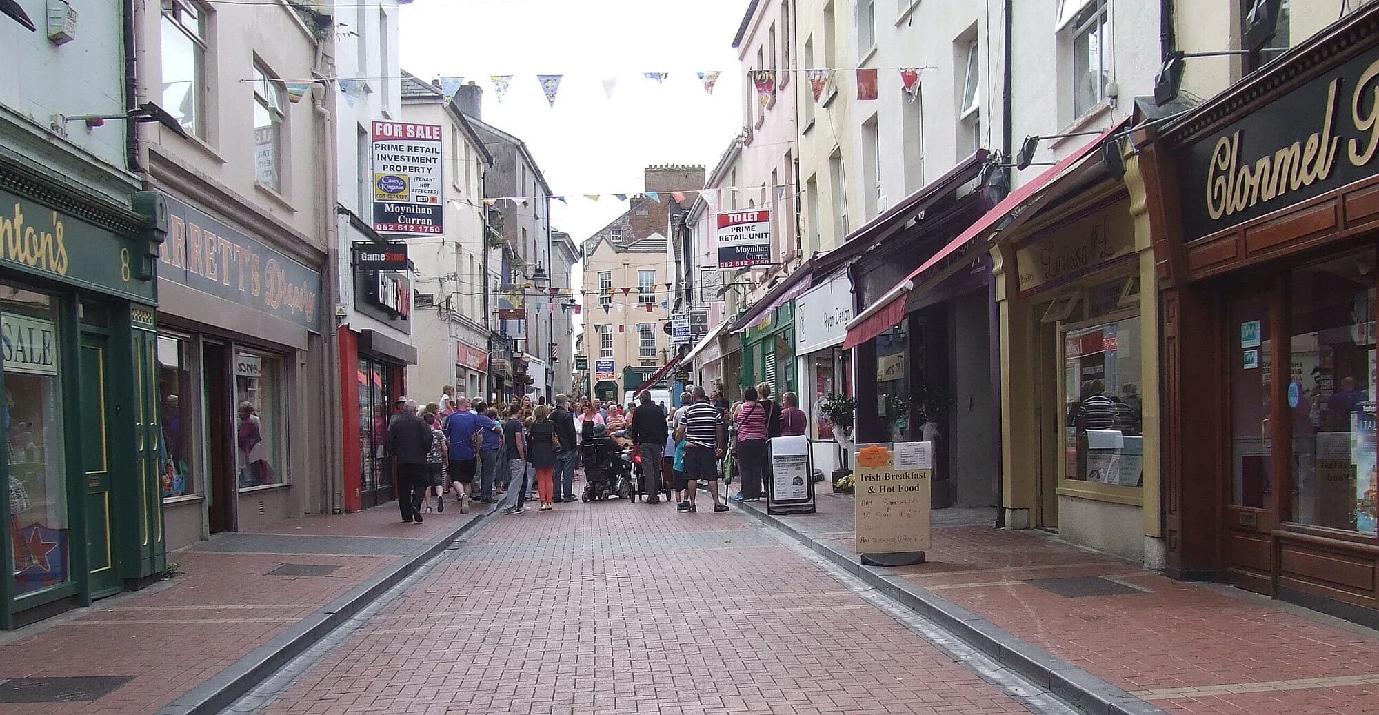 Vets in Clonmel
