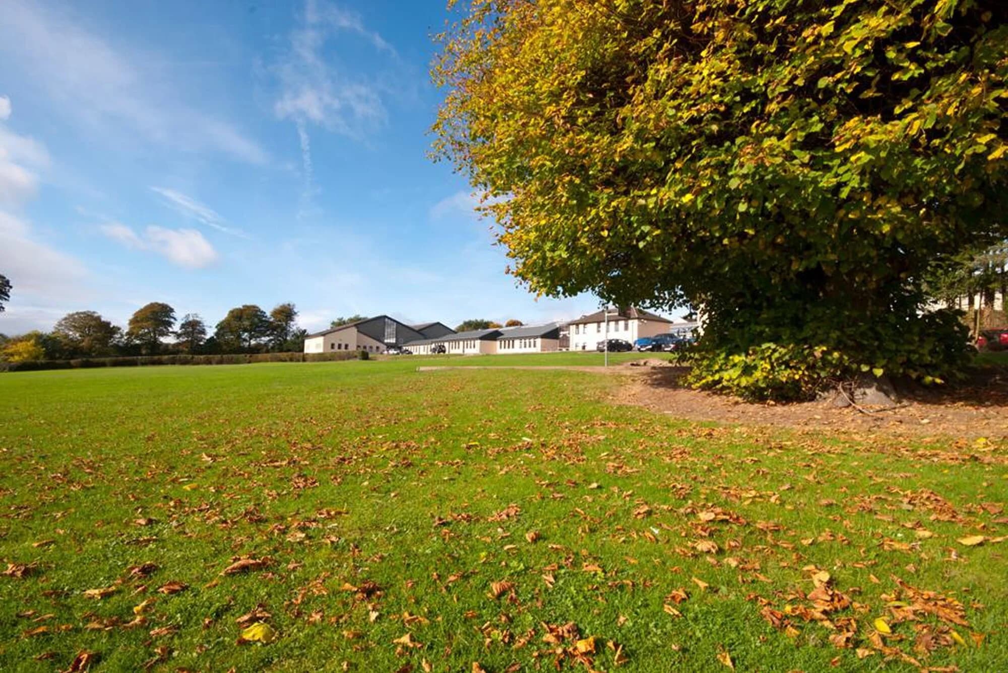 Vets in Coachford