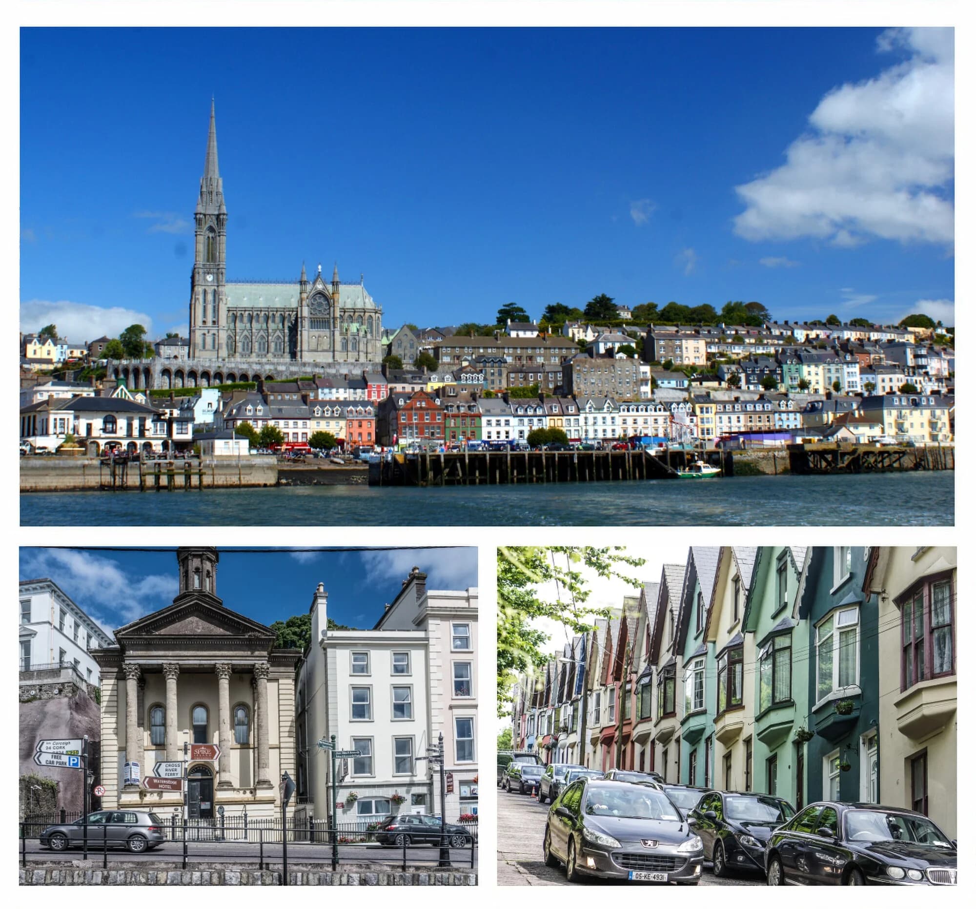 Vets in Cobh