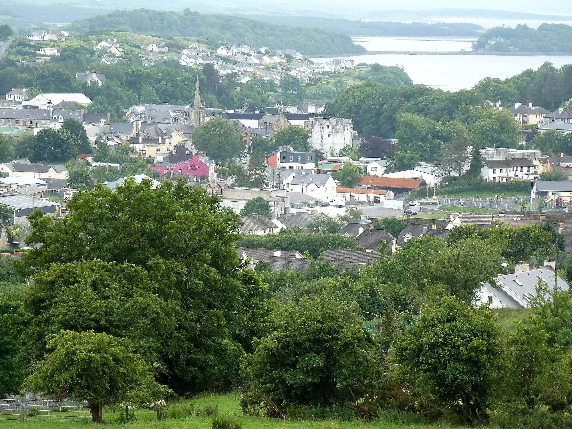 Vets in Donegal