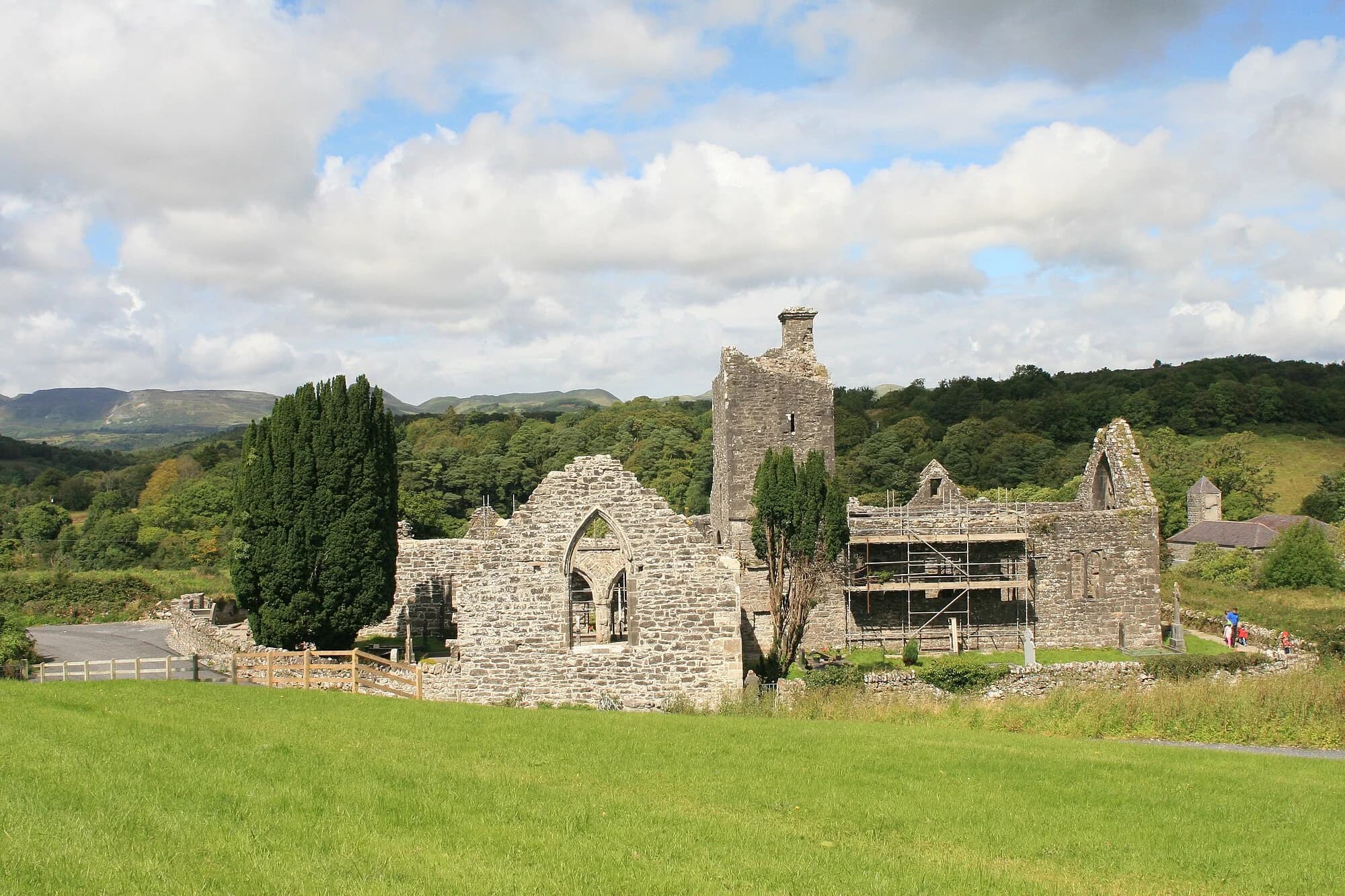 Vets in Dromahair