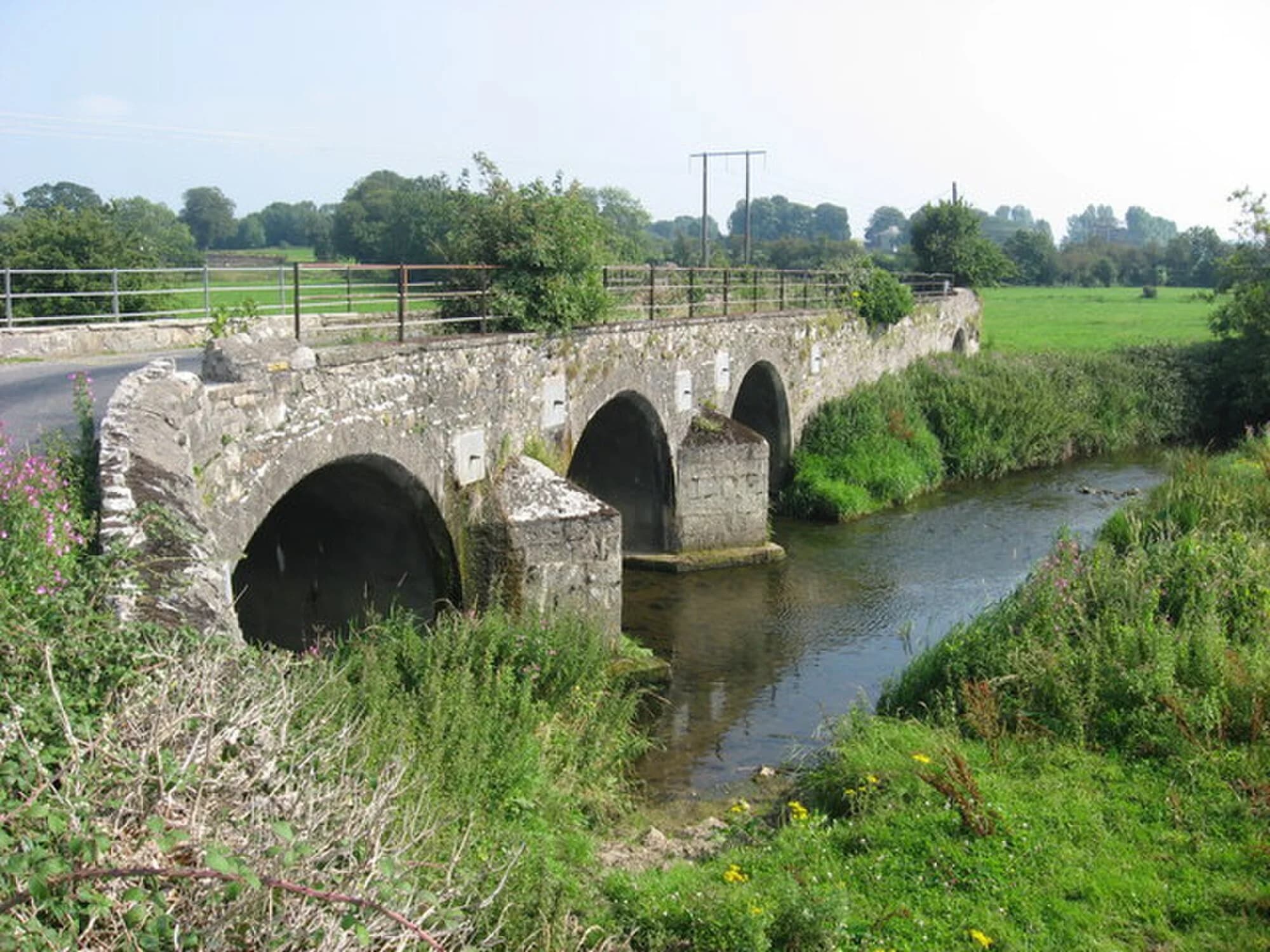 Vets in Duleek