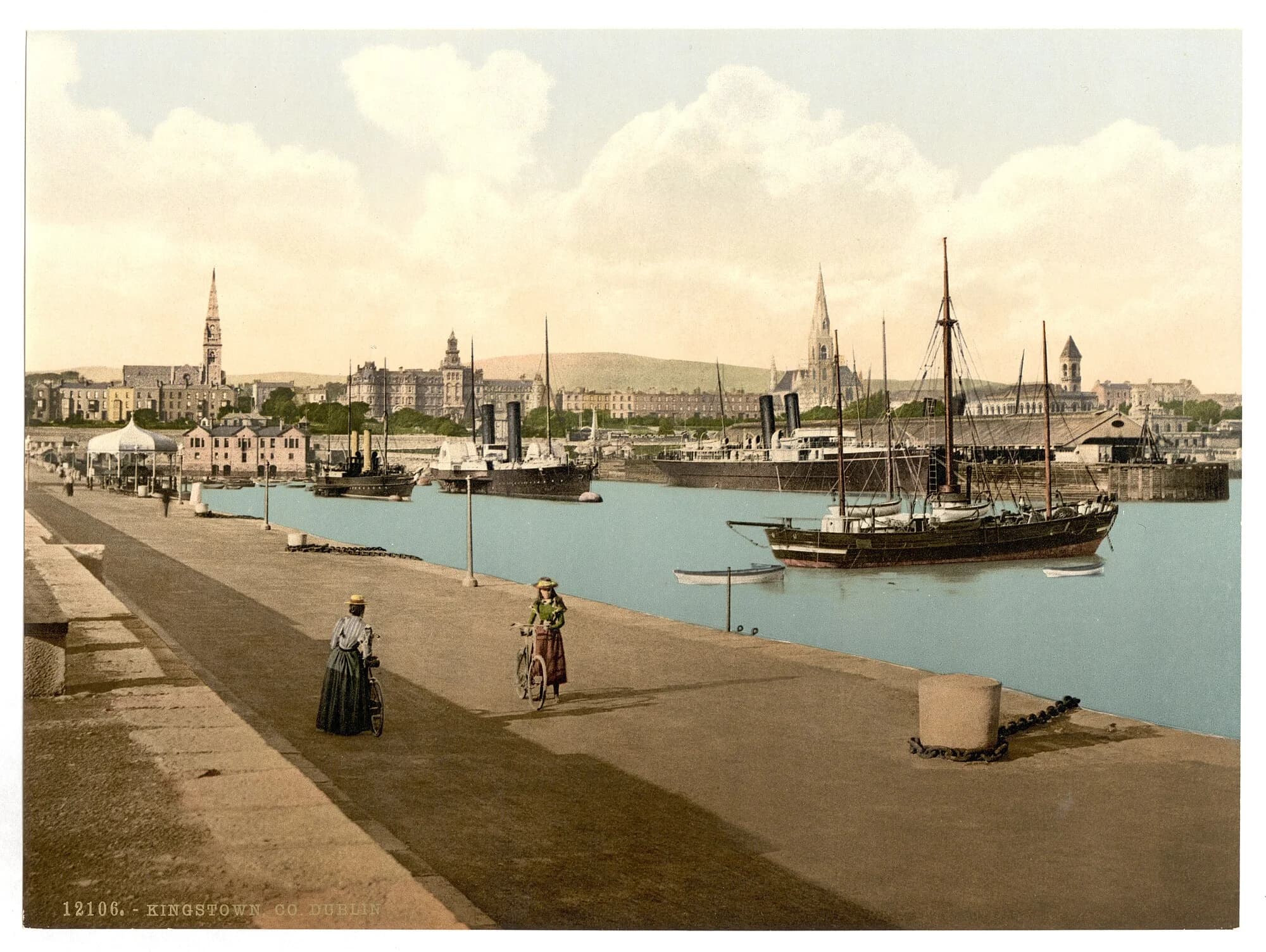 Vets in Dun Laoghaire