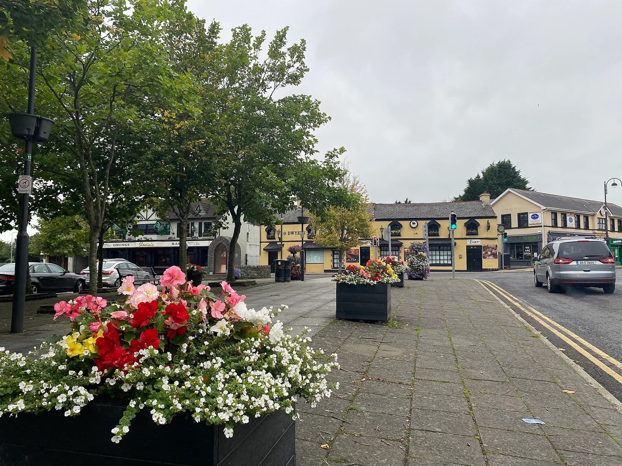 Vets in Dunboyne