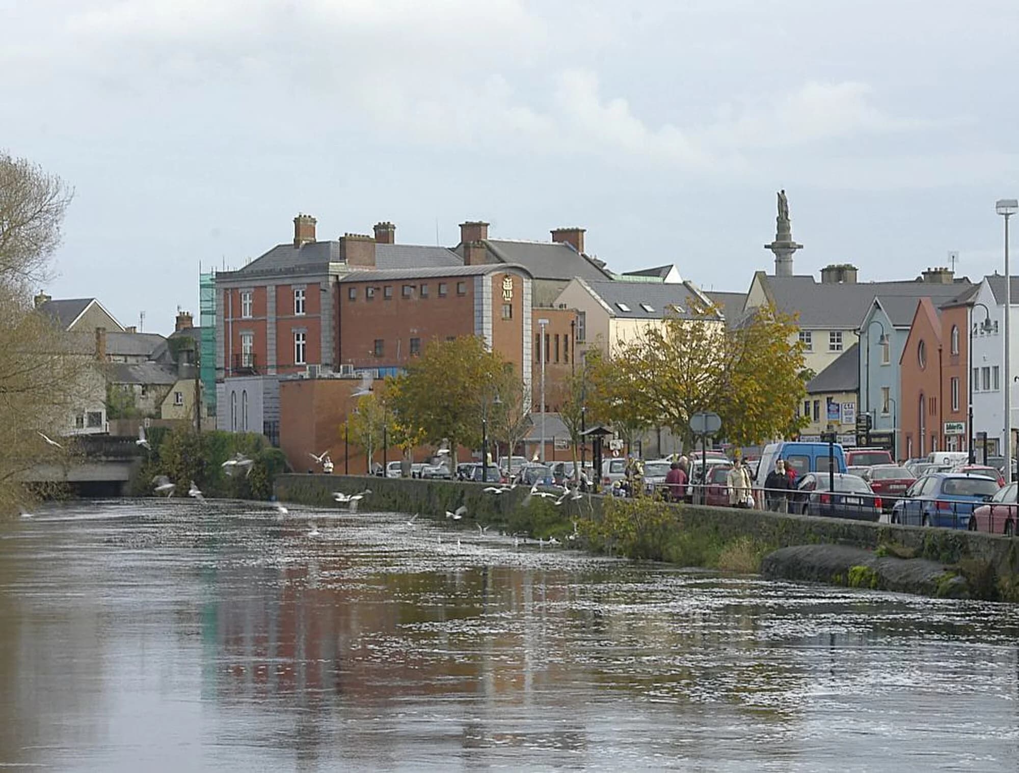 Vets in Ennis