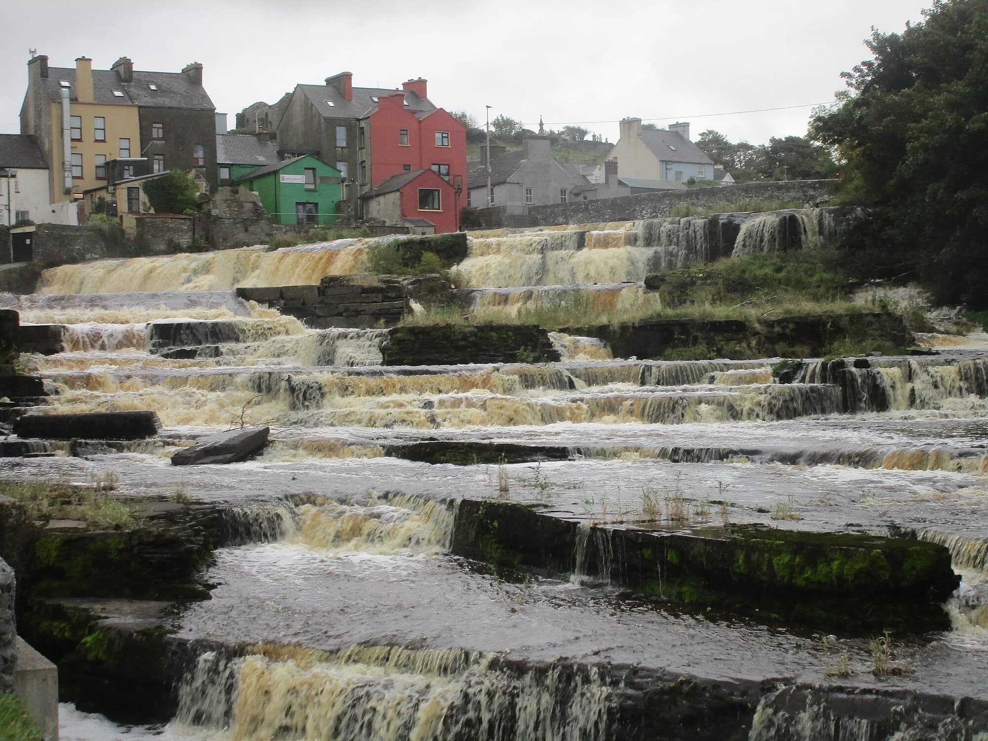 Vets in Ennistymon