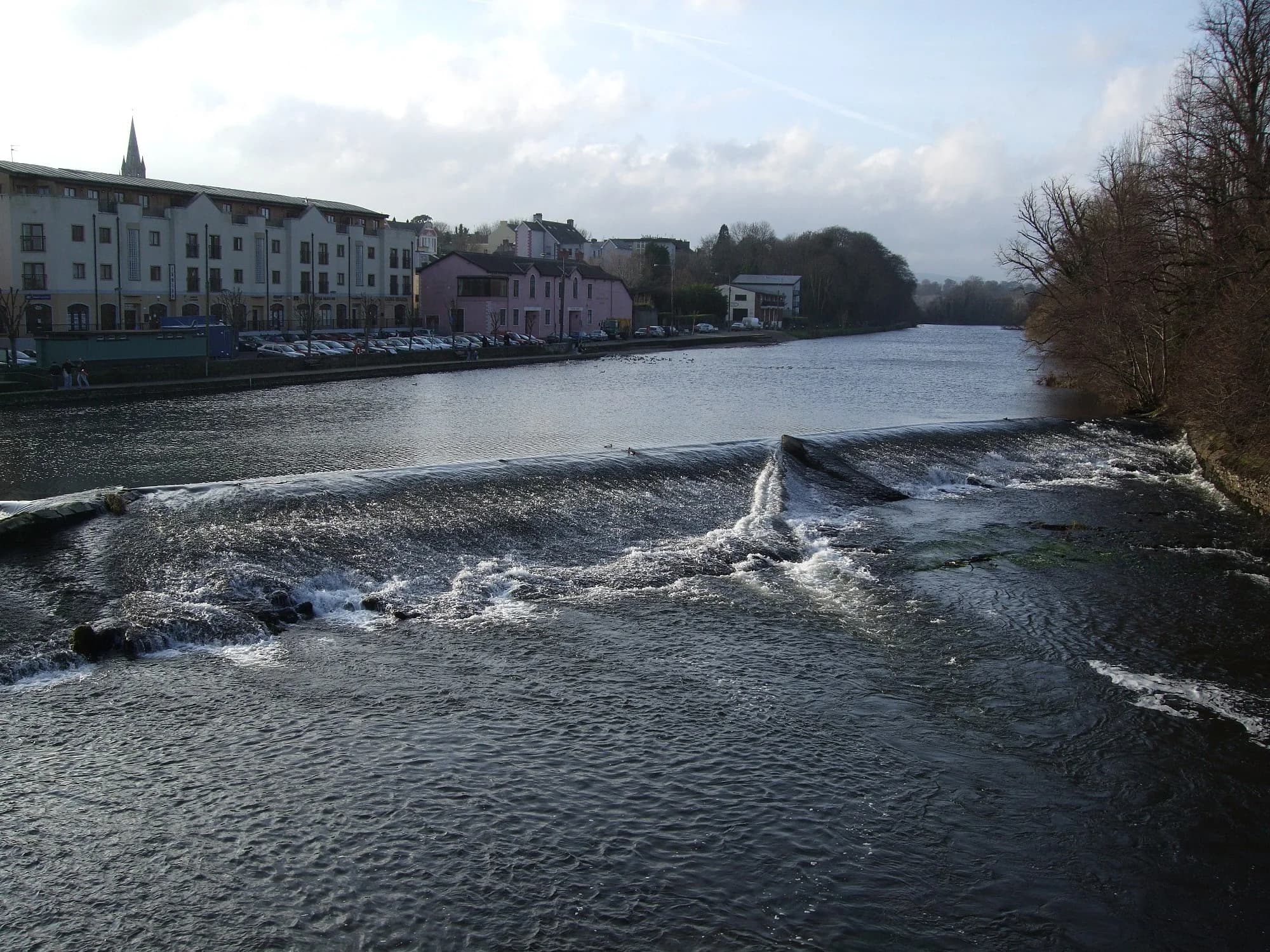 Vets in Fermoy