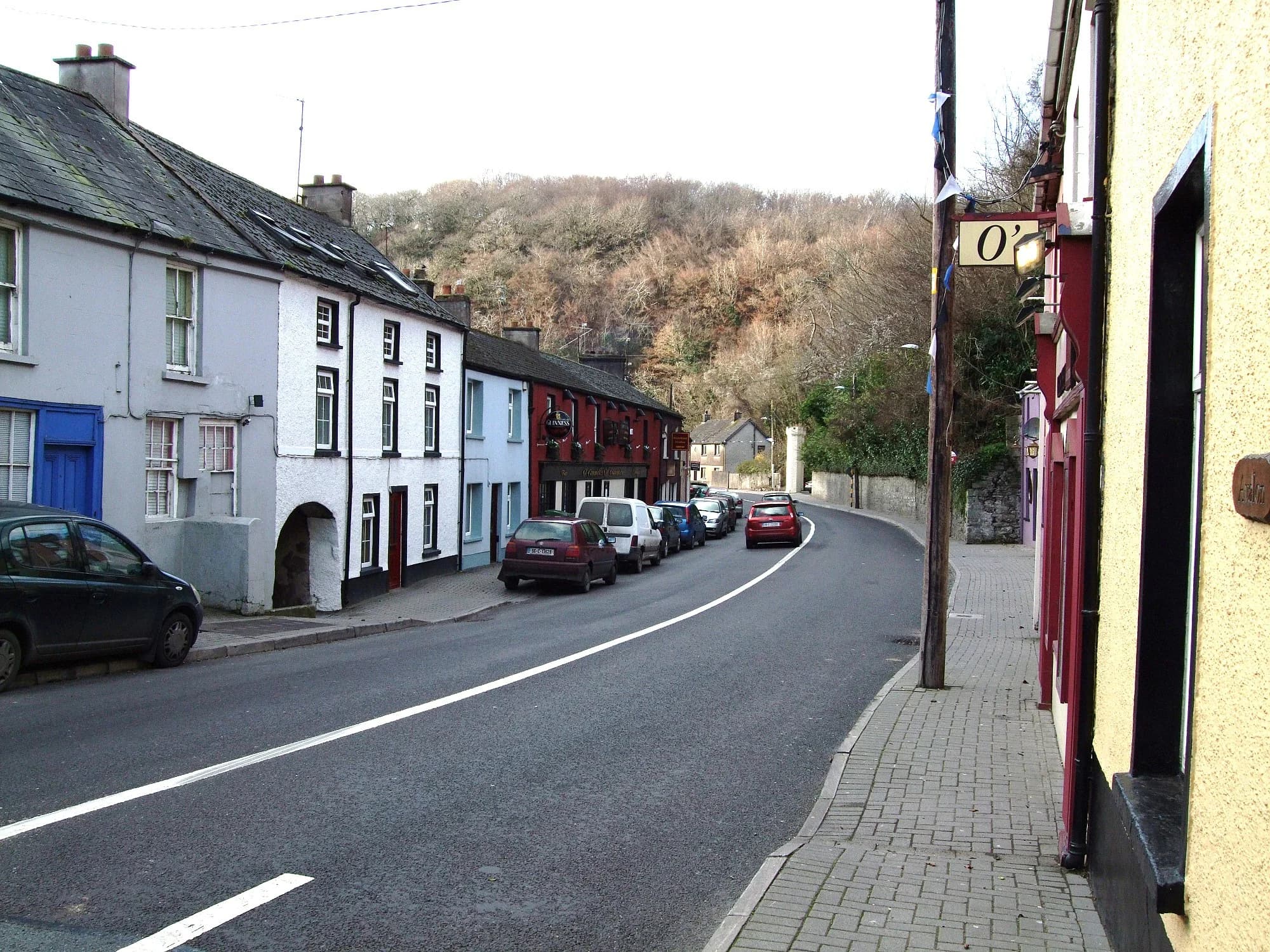 Vets in Glanmire