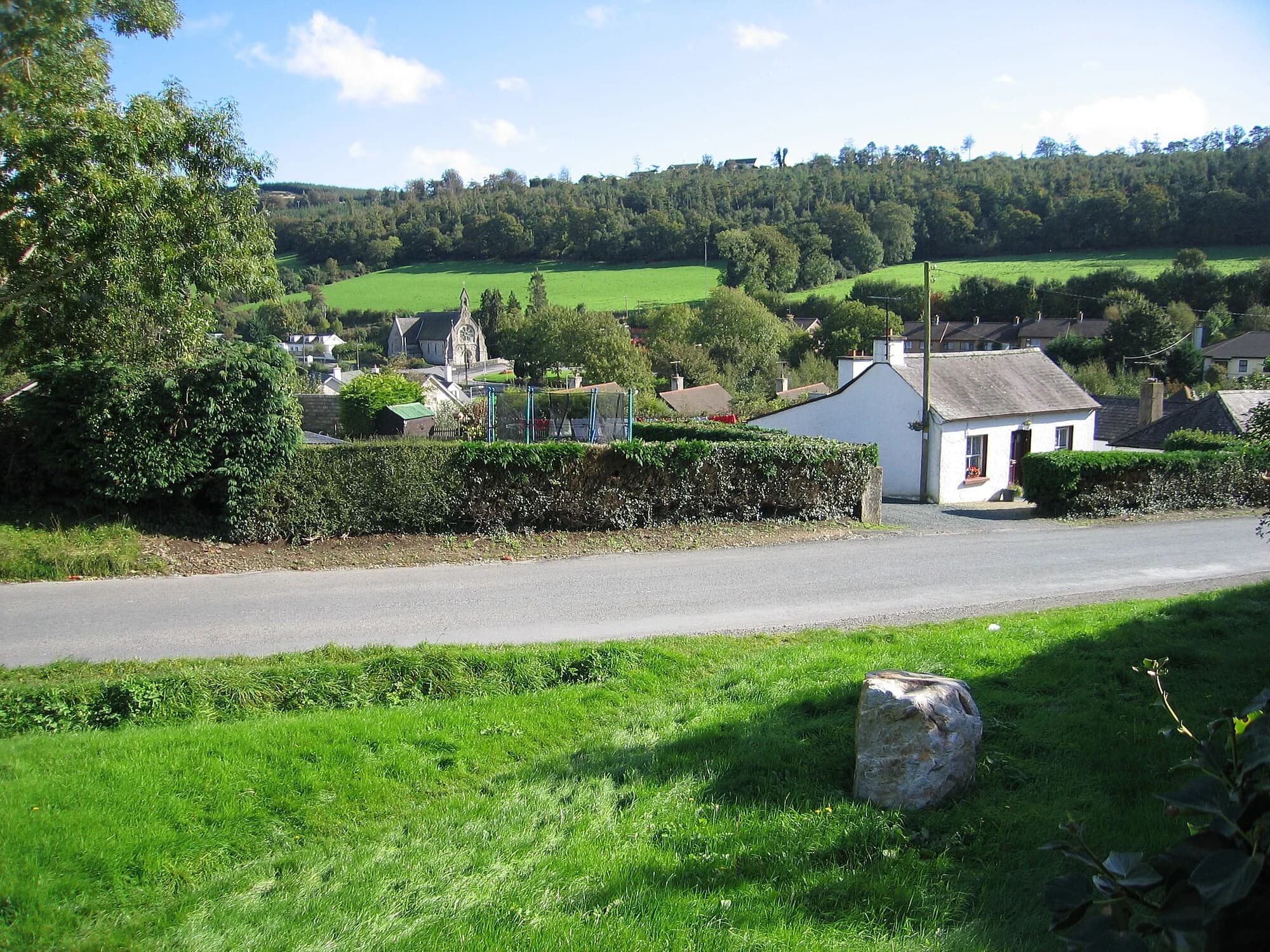 Vets in Glenealy