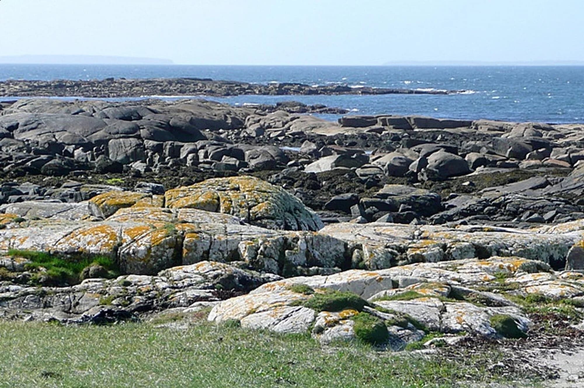 Vets in Inis Óirr