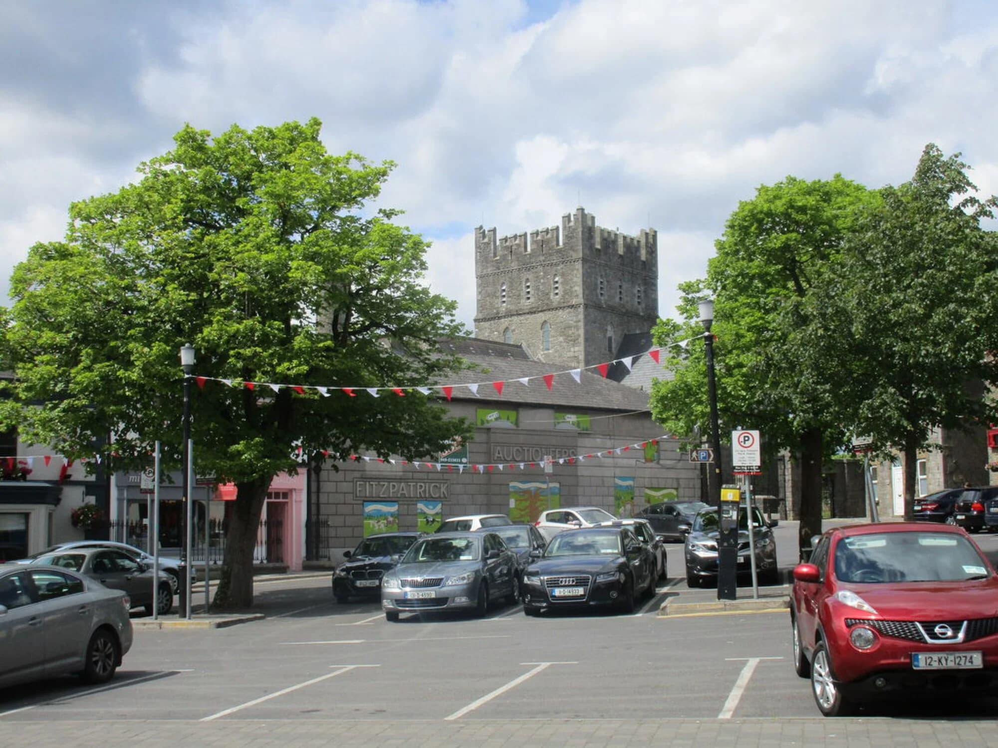 Vets in Kildare Town