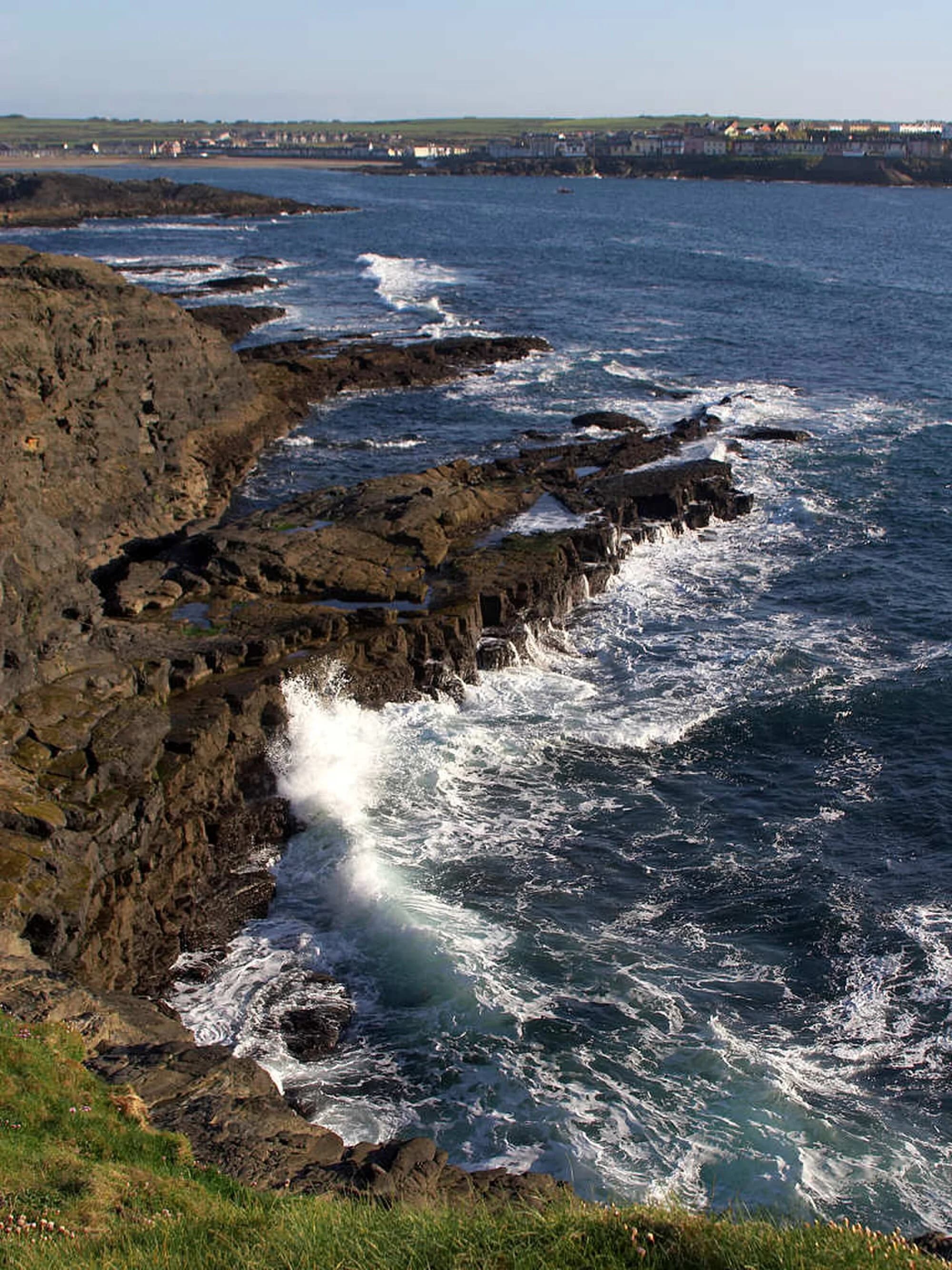 Vets in Kilkee