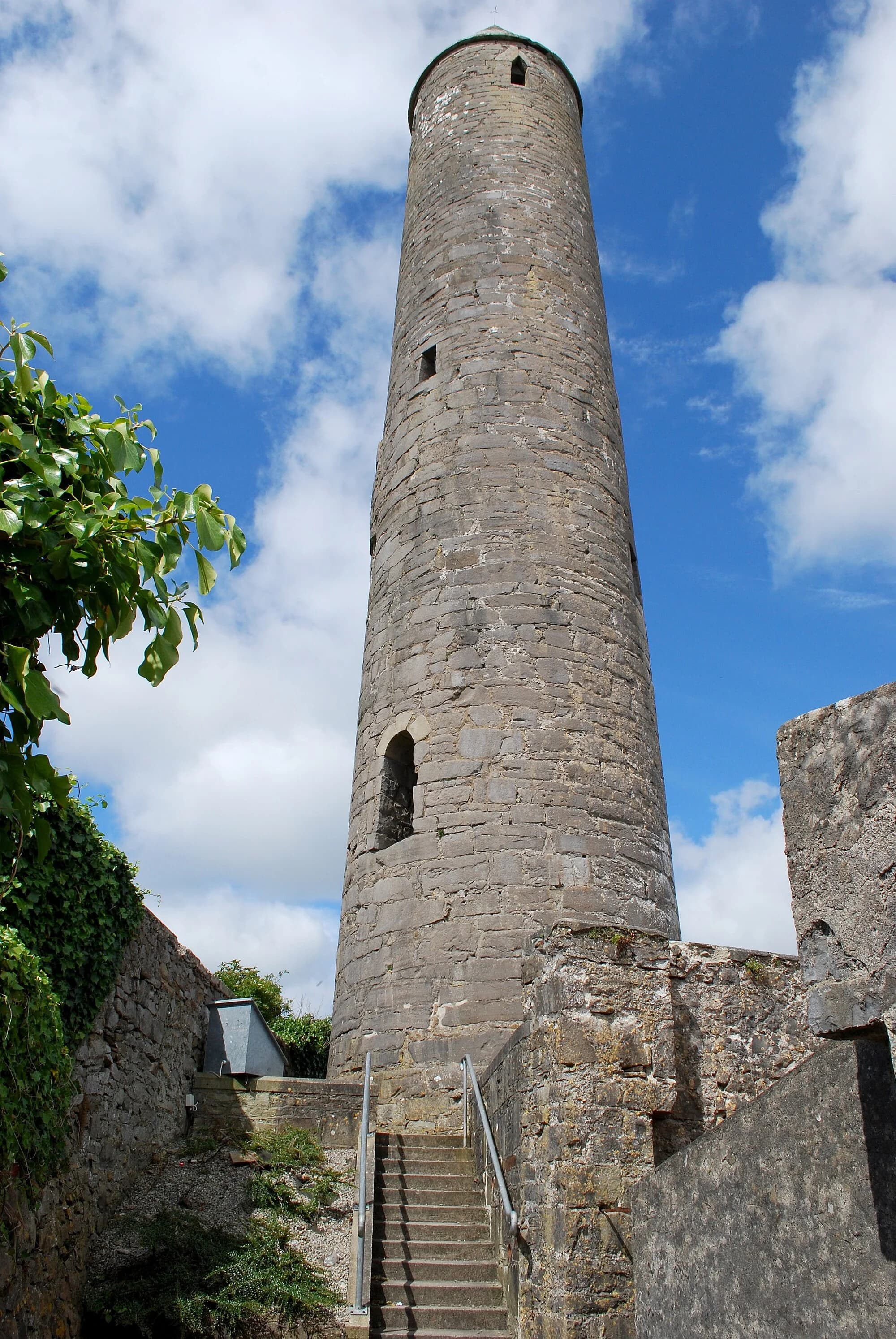 Vets in Killala