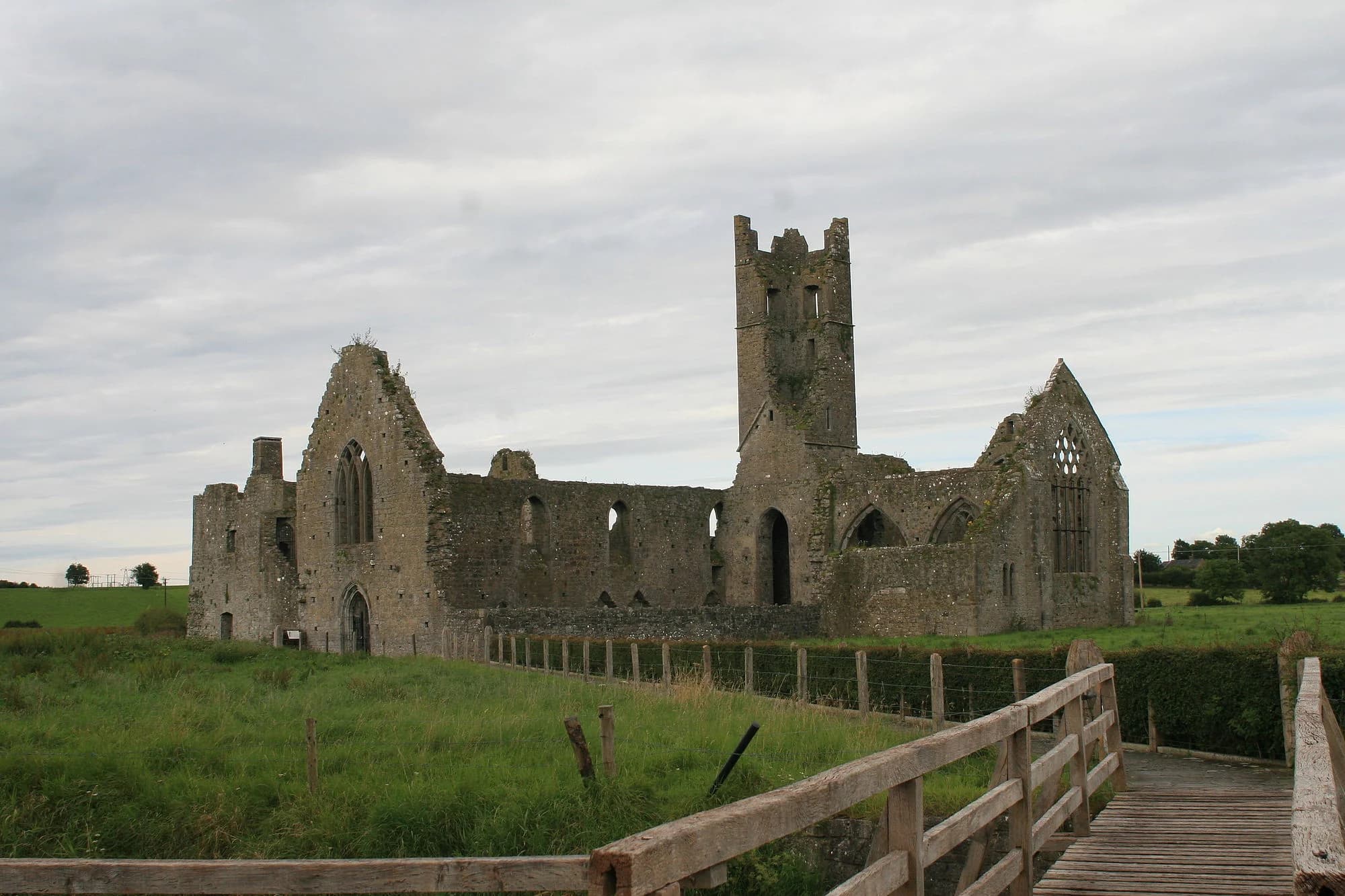 Vets in Kilmallock