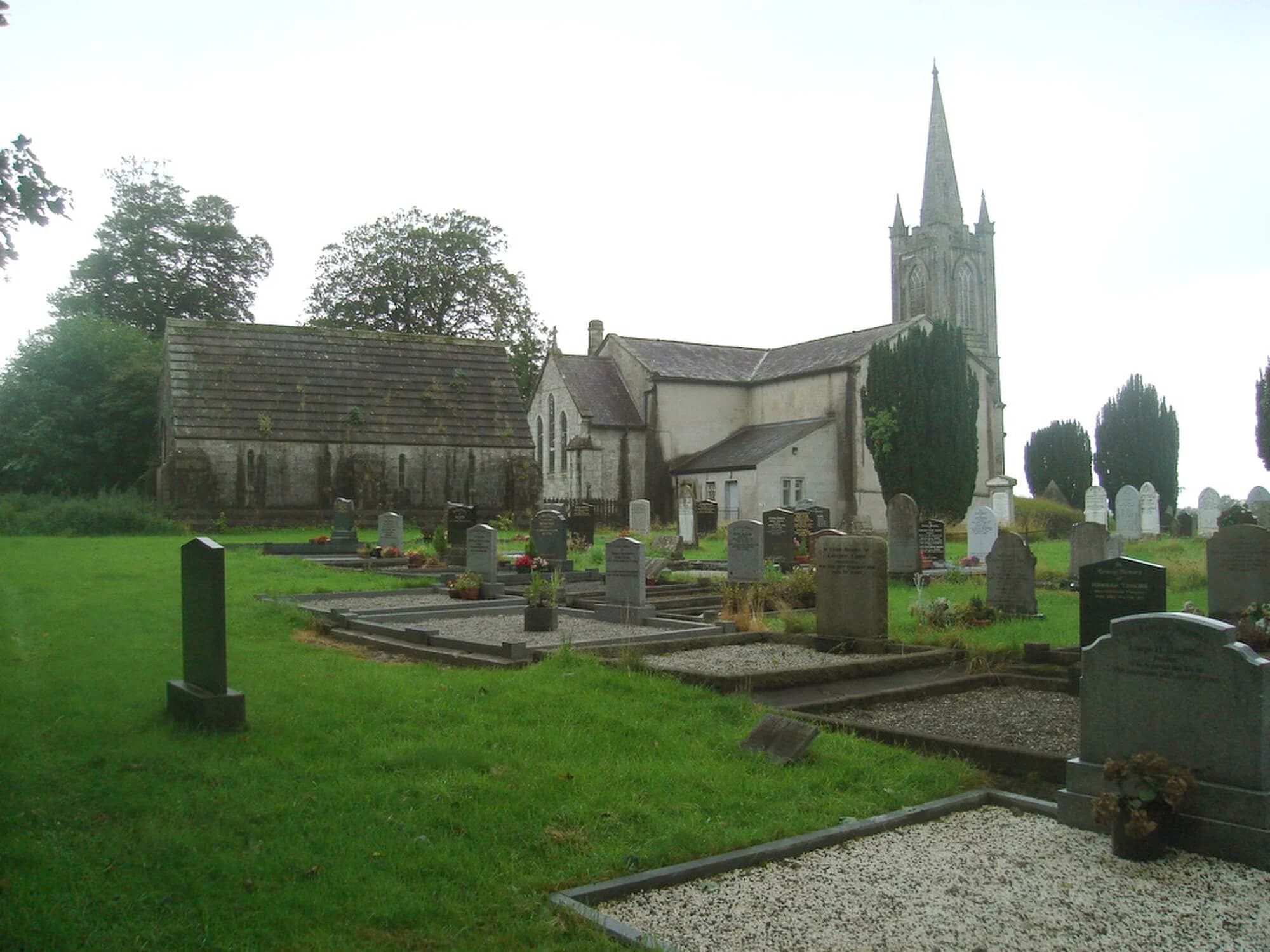 Vets in Kiltegan