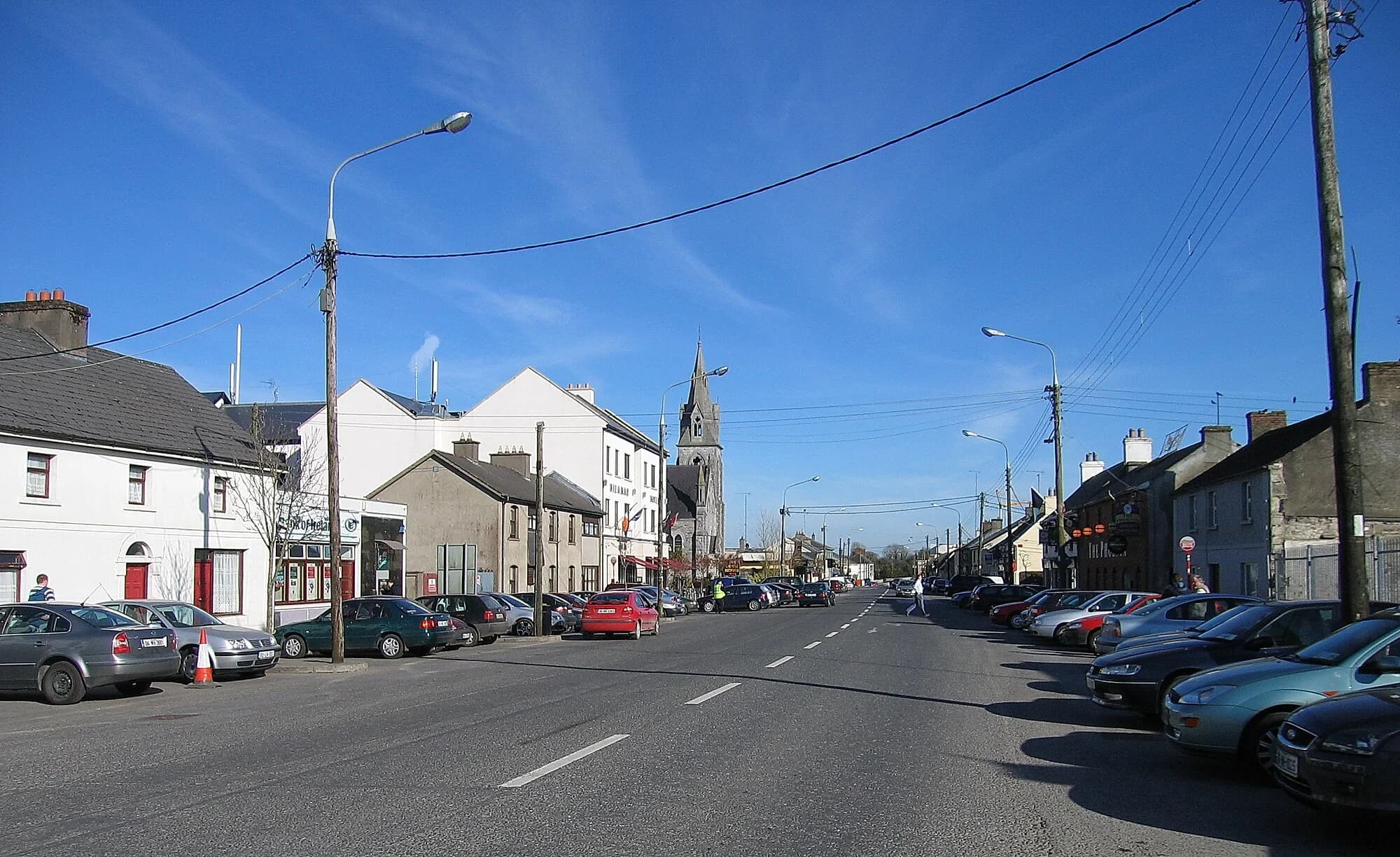 Vets in Kinnegad