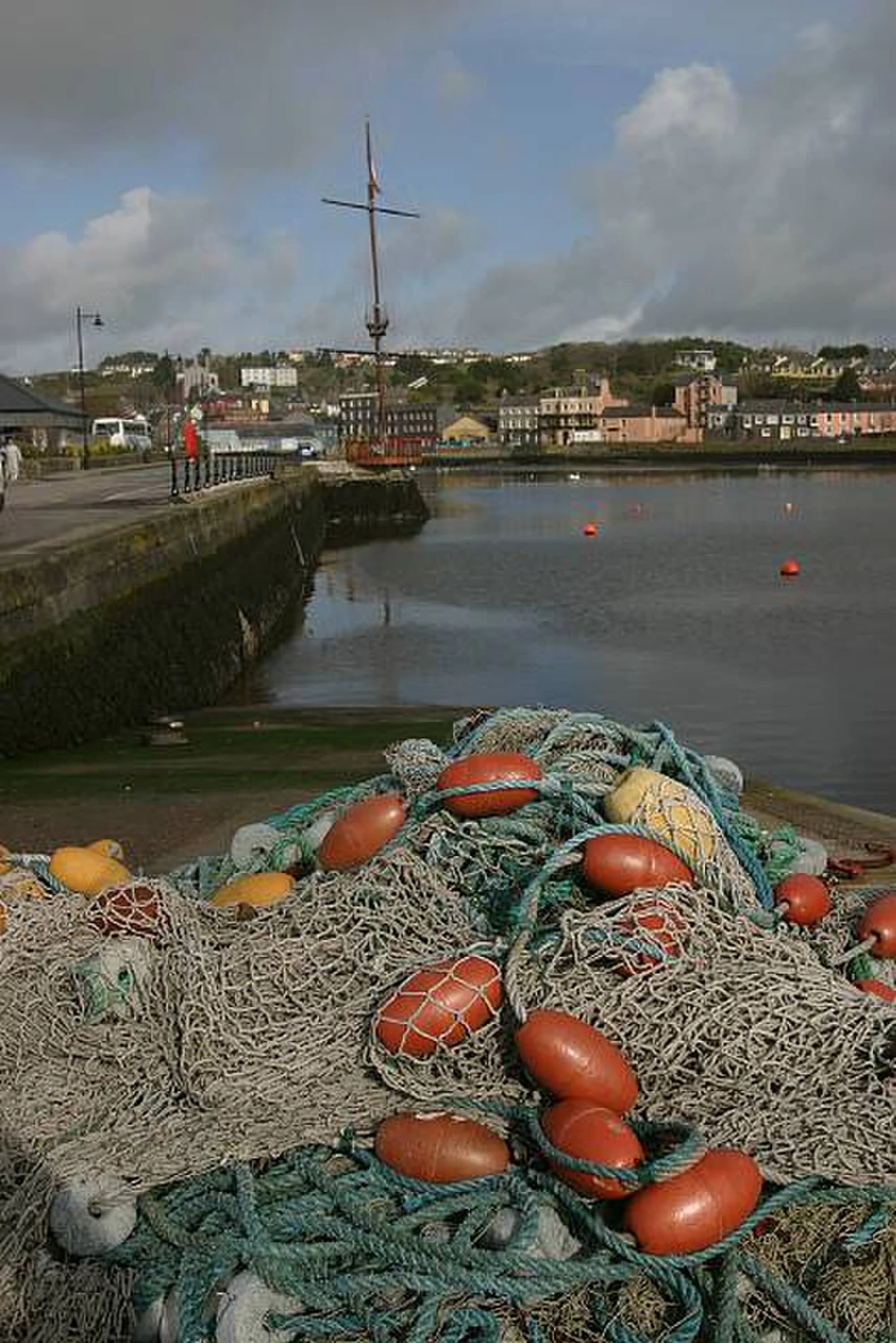 Vets in Kinsale