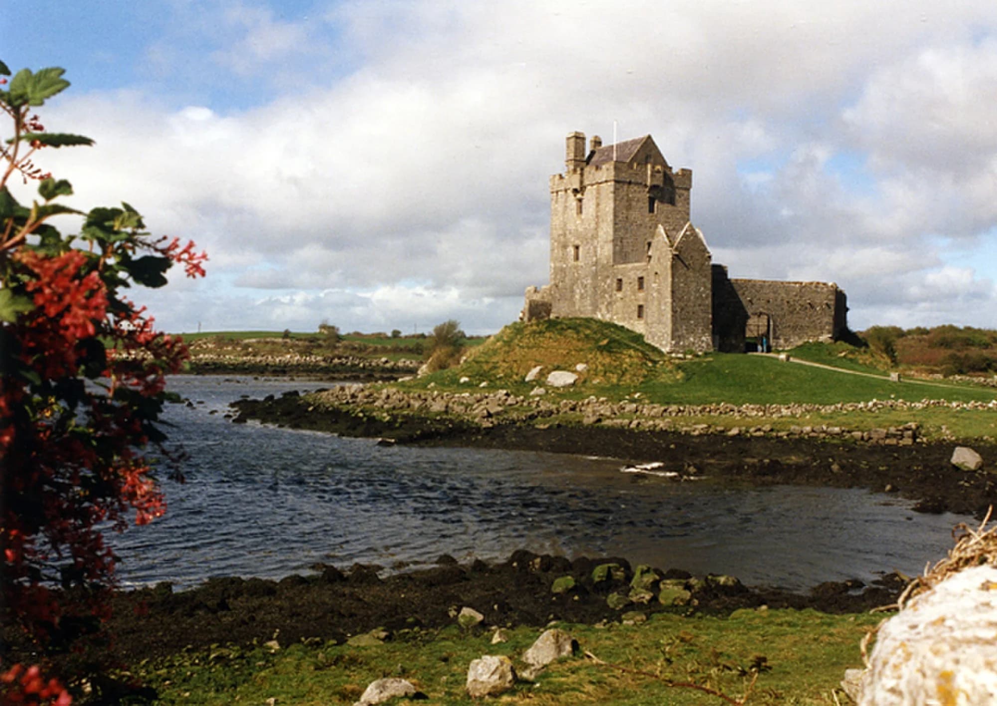 Vets in Kinvara