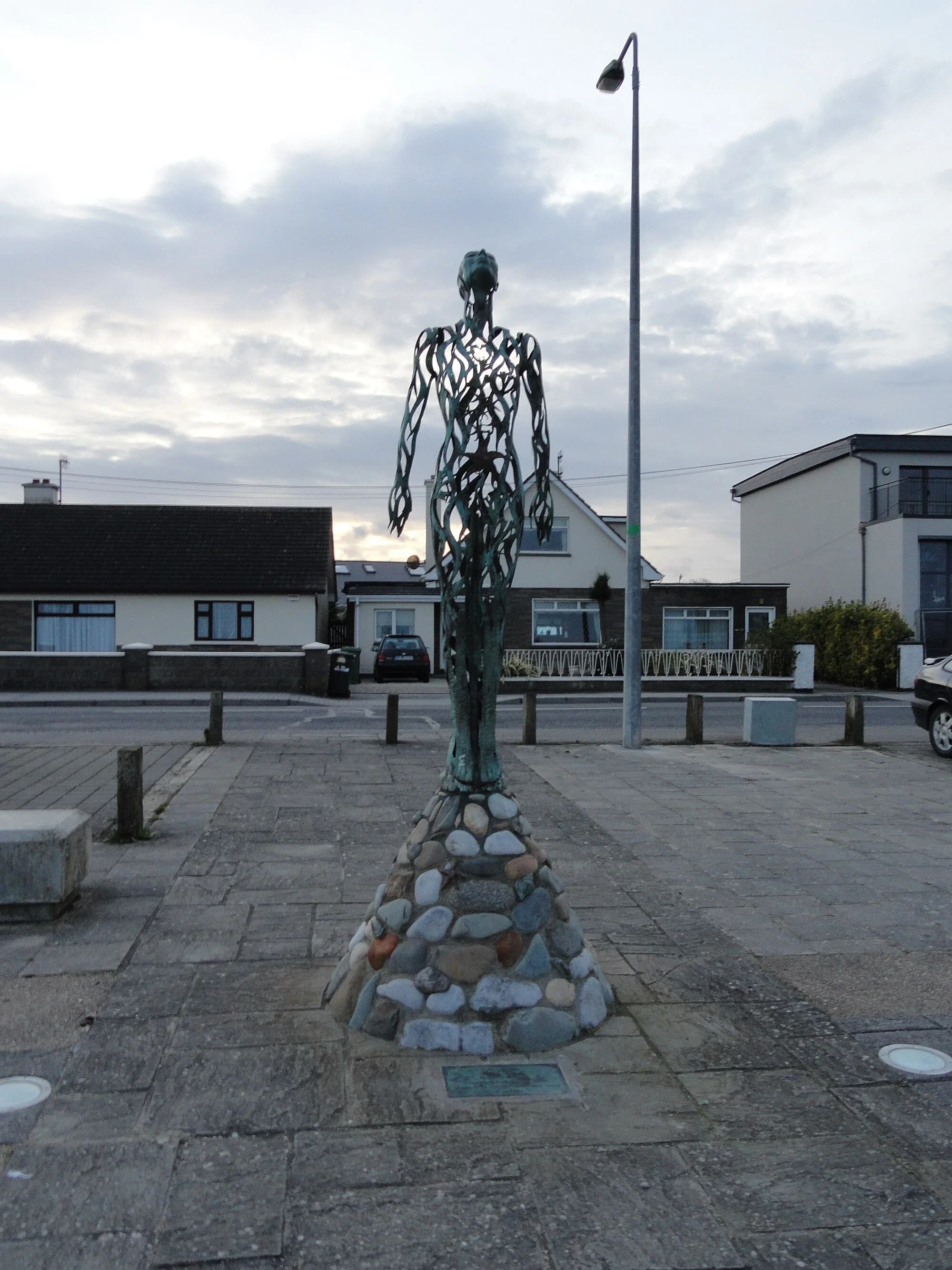 Vets in Laytown