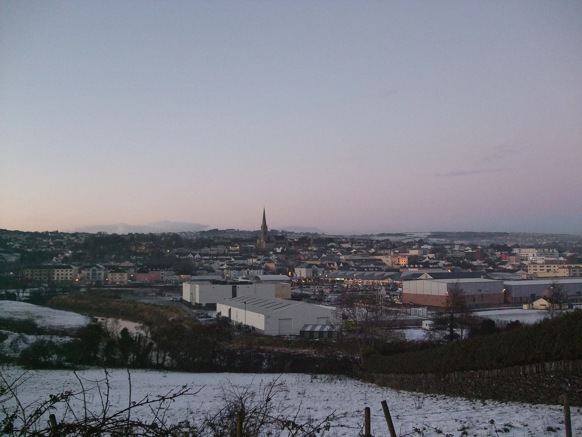 Vets in Letterkenny