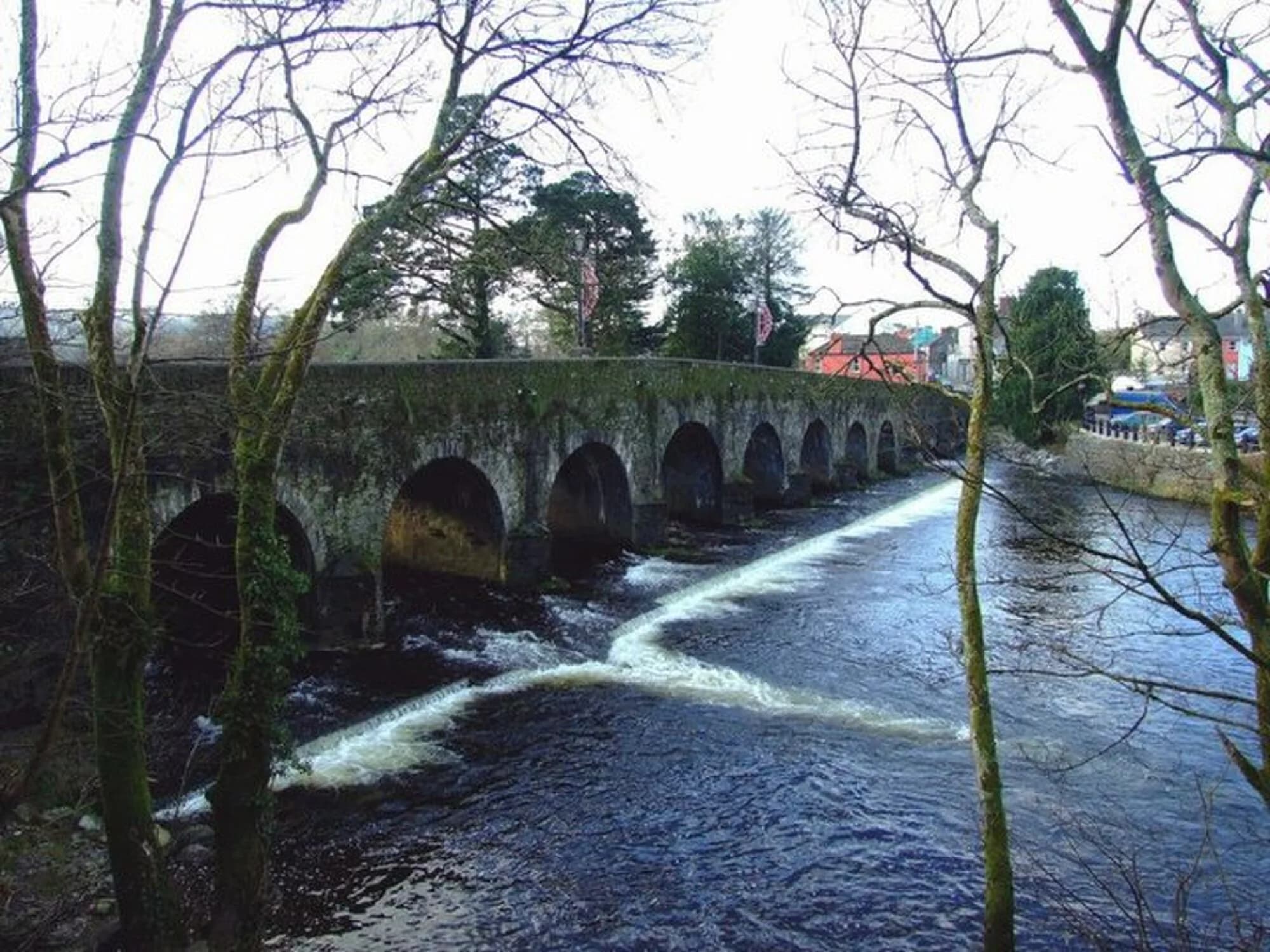 Vets in Macroom
