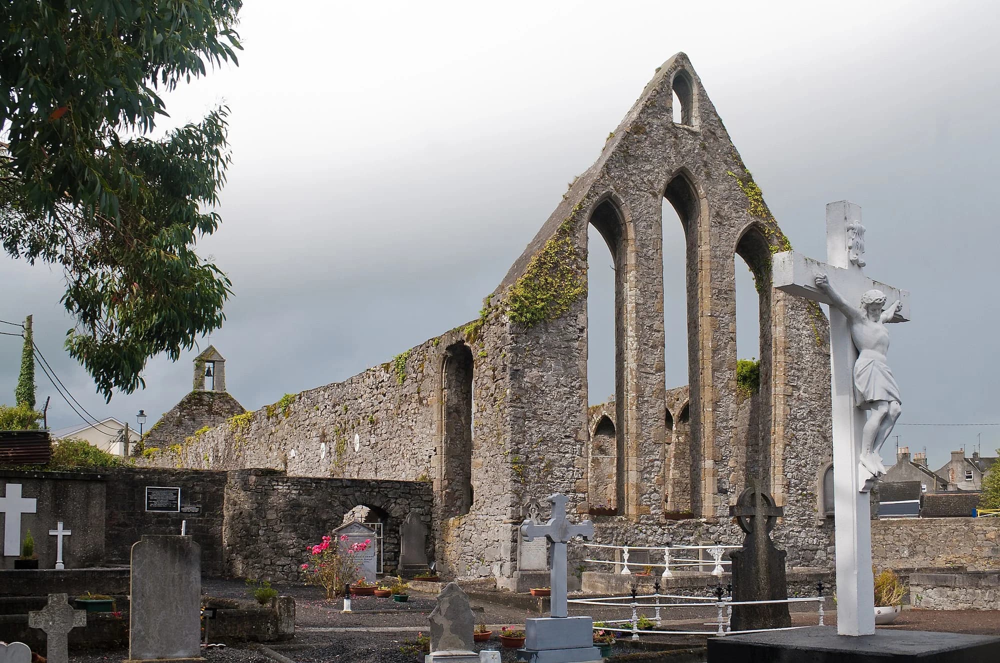 Vets in Nenagh