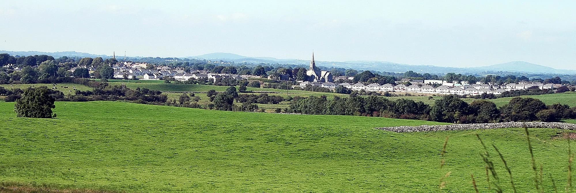 Vets in Oldcastle