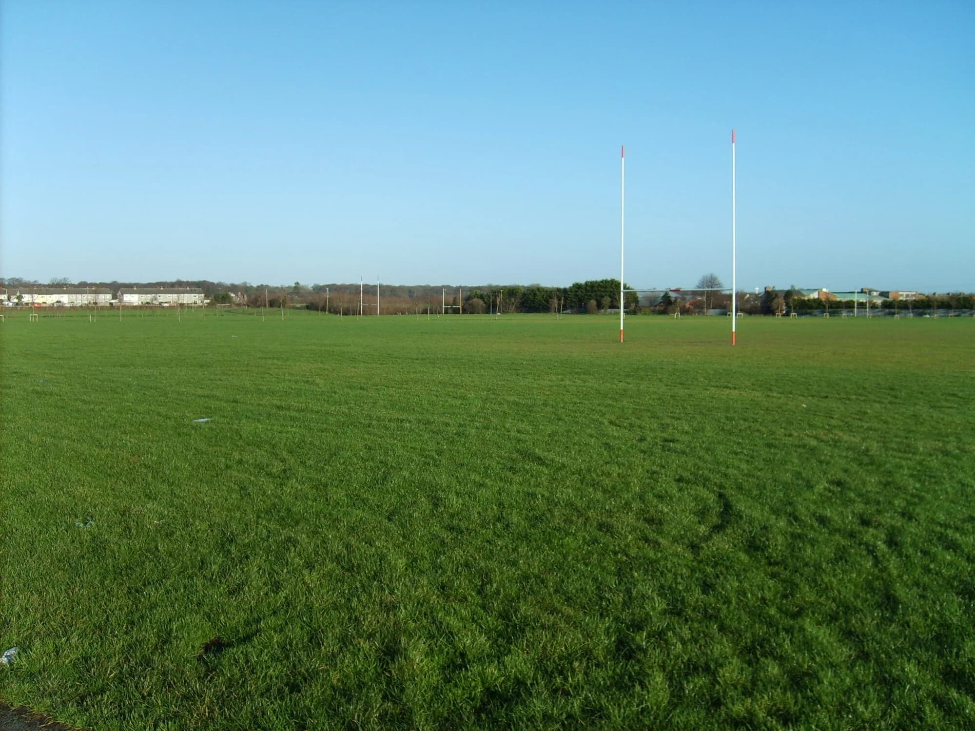 Vets in Palmerstown