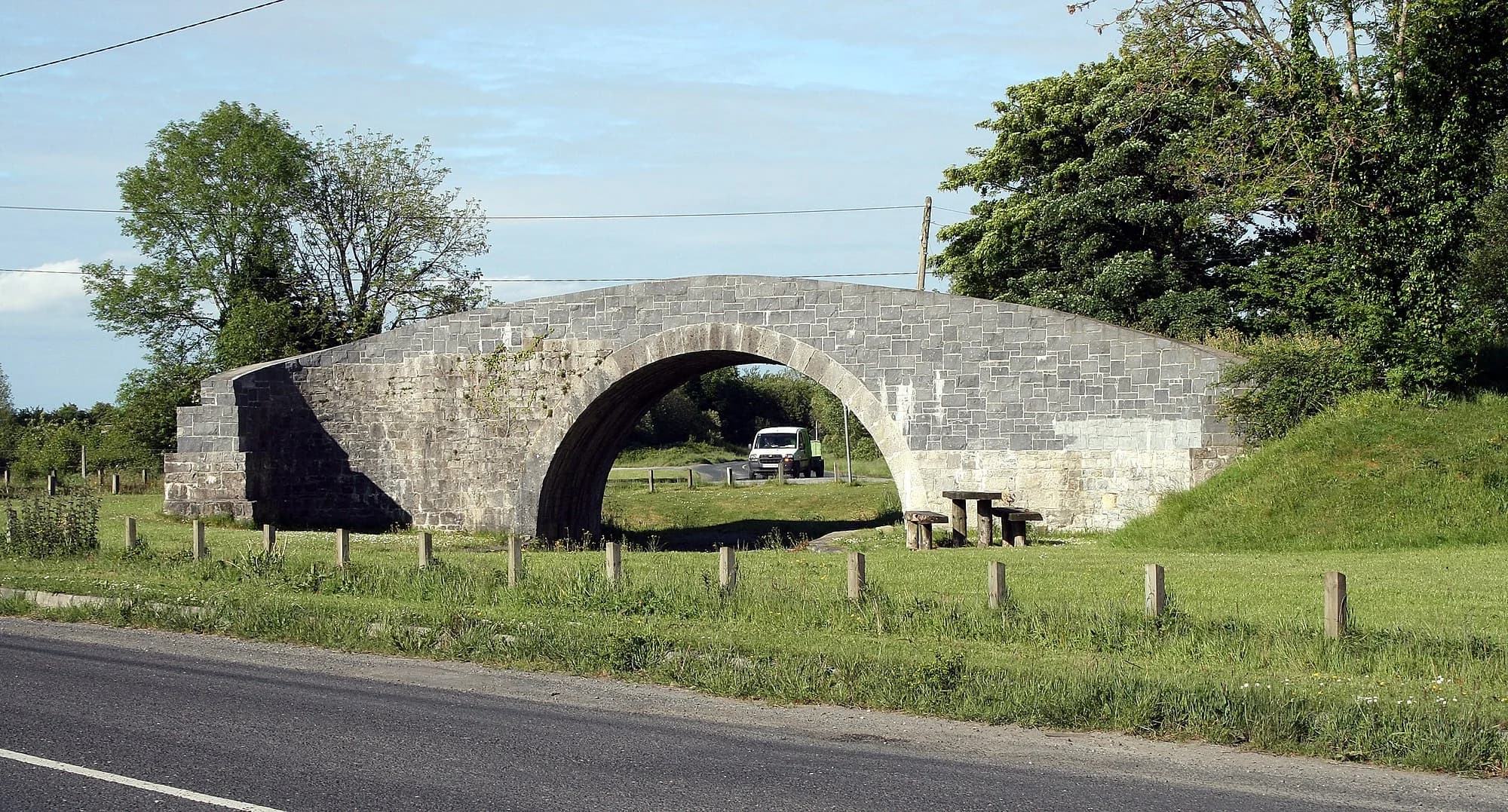 Vets in Portarlington