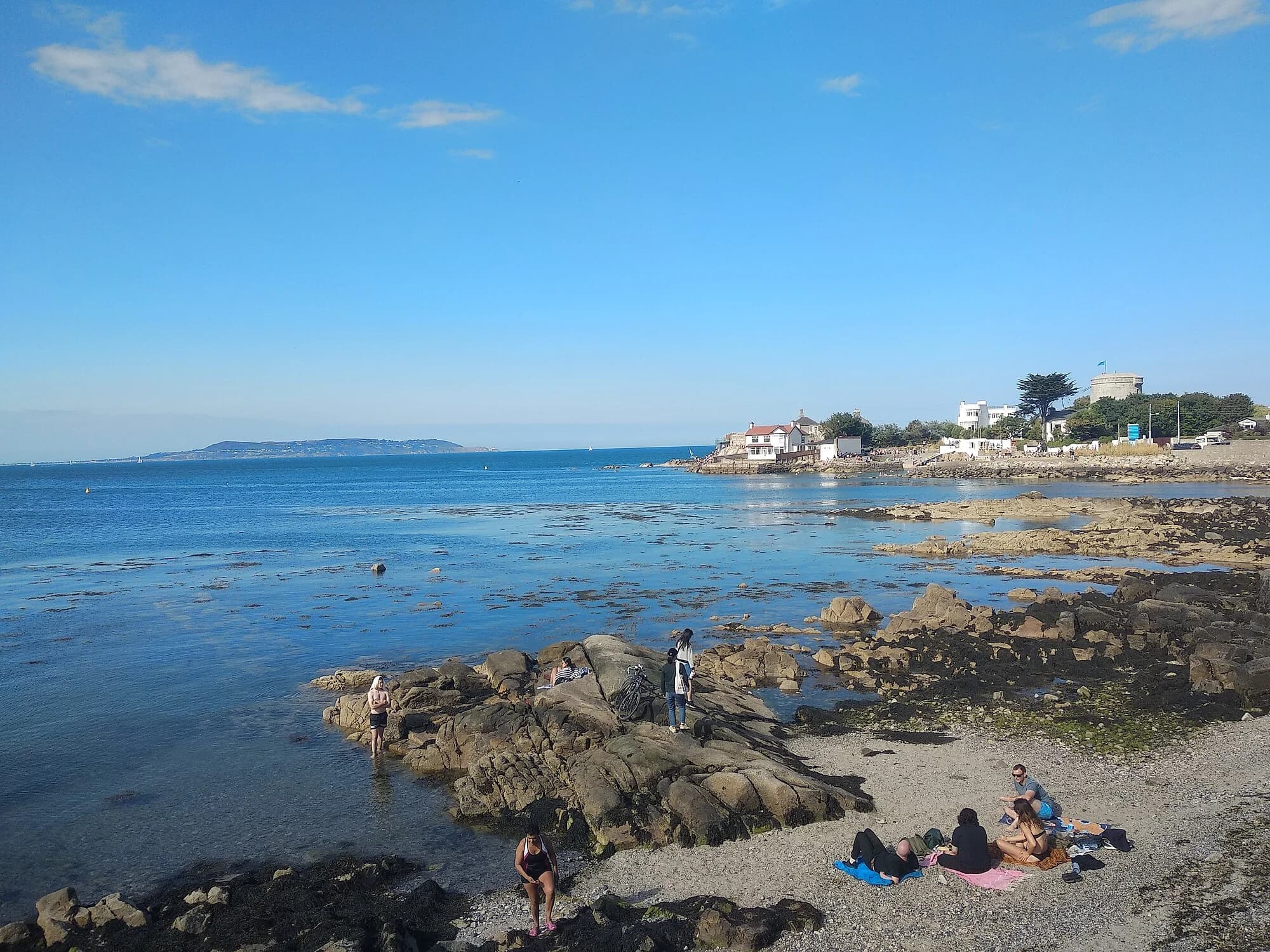 Vets in Sandycove