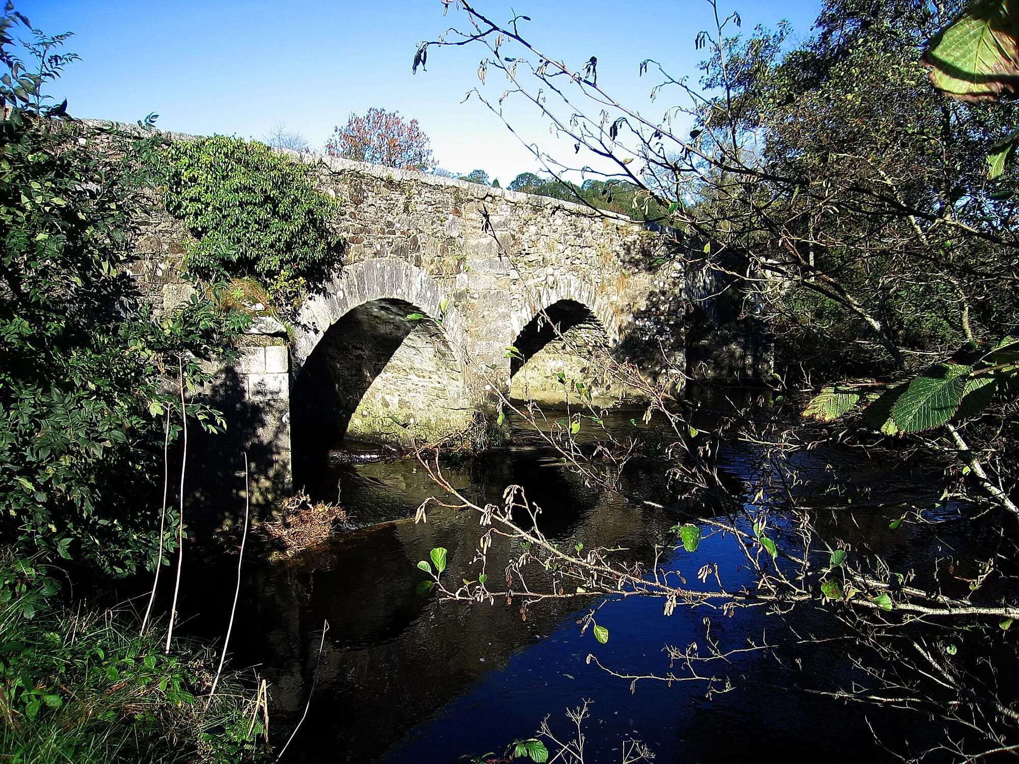 Vets in Stratford-on-Slaney