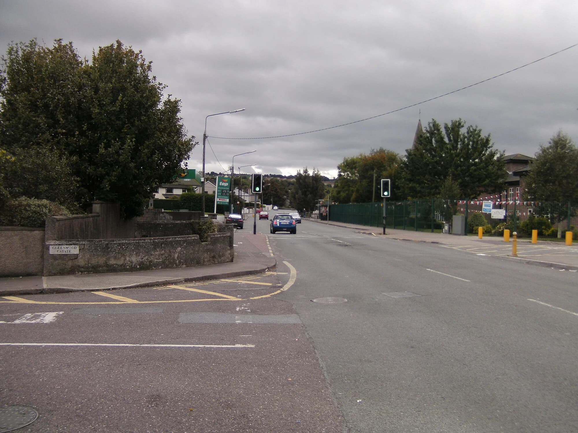 Vets in Togher