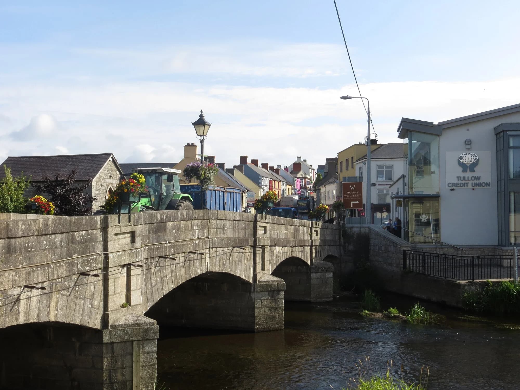 Vets in Tullow
