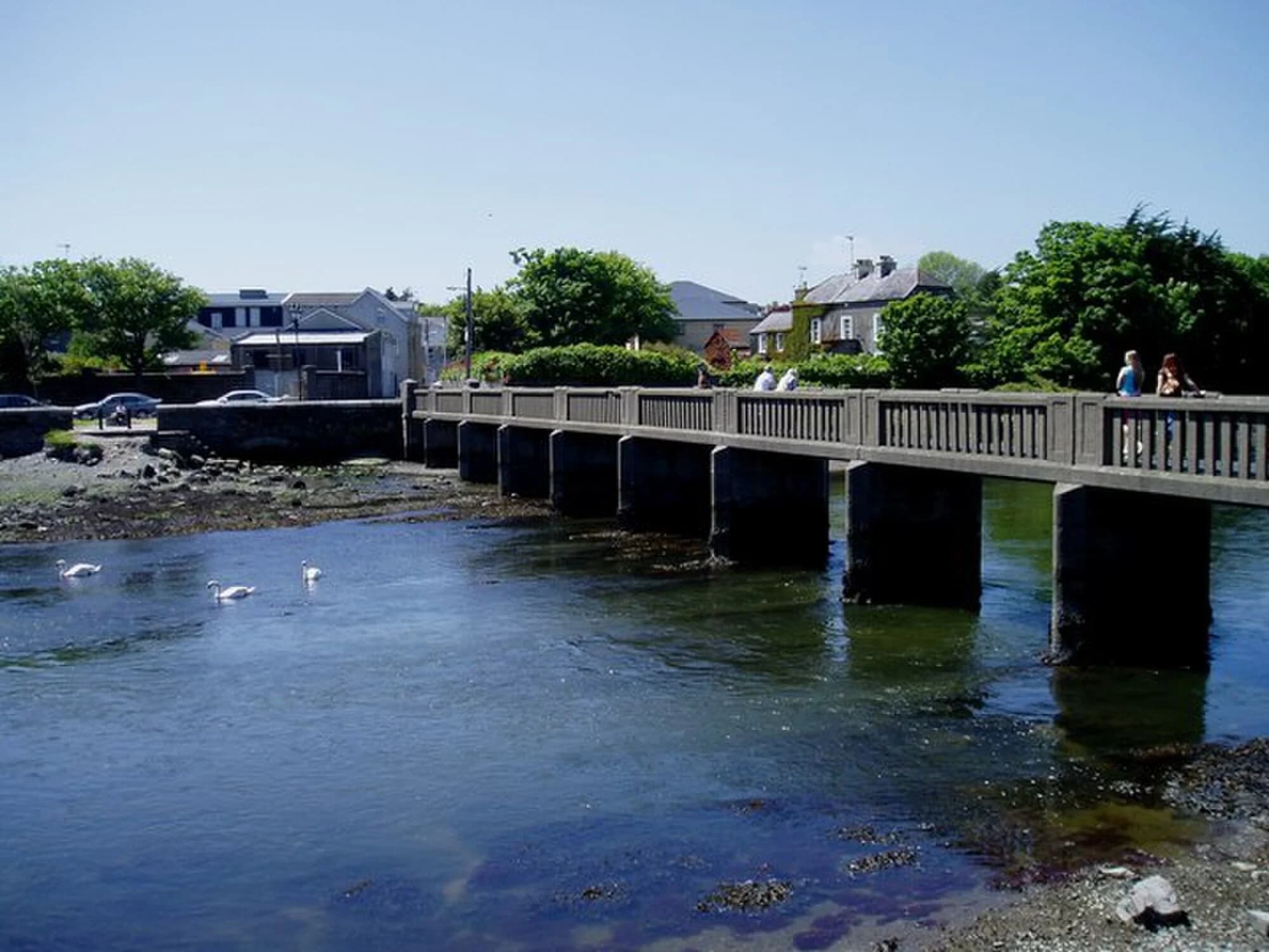 Vets in Wicklow Town